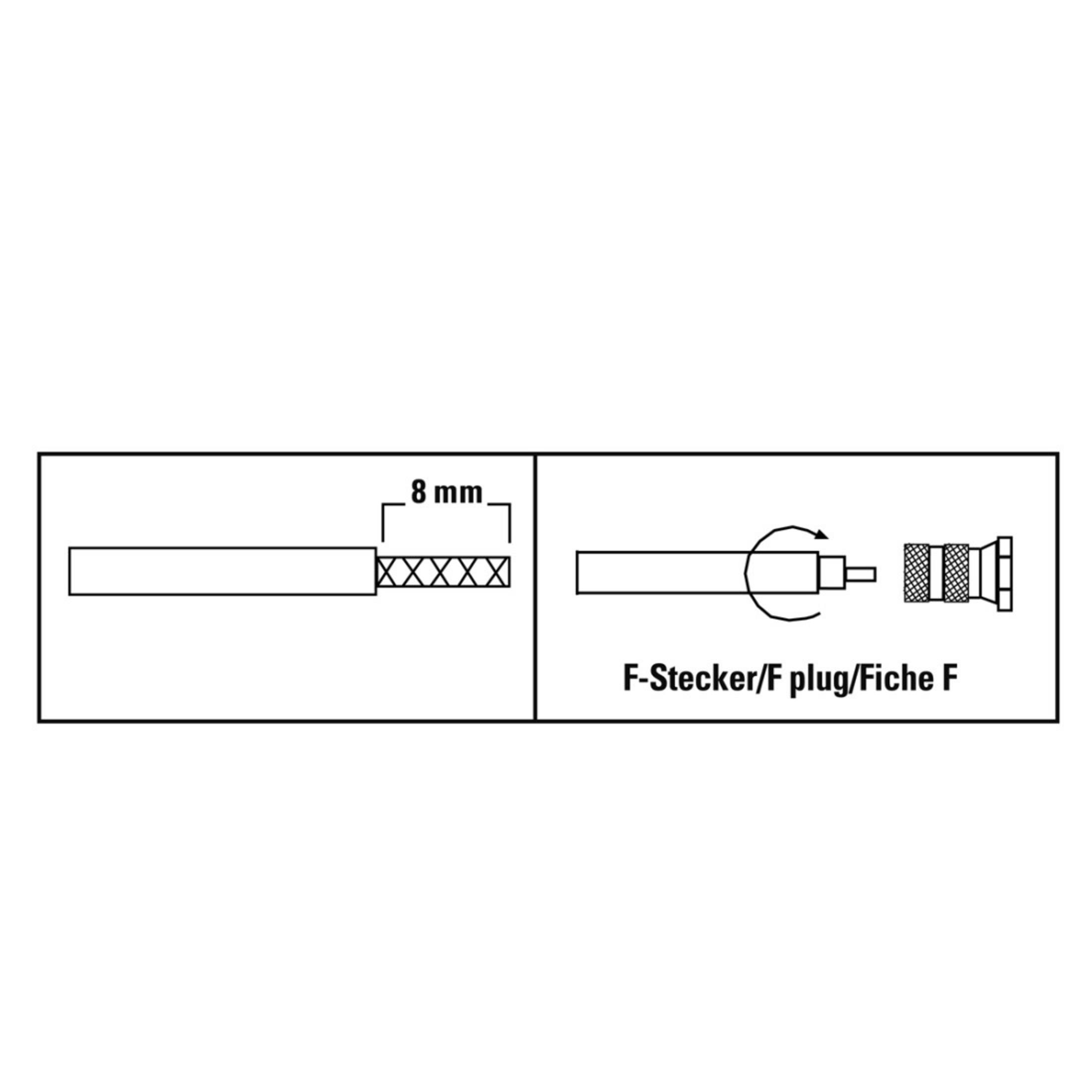 Eine Illustration eines F-Steckers mit Abmessungen. Zeigt einen Schnitt des Steckers.