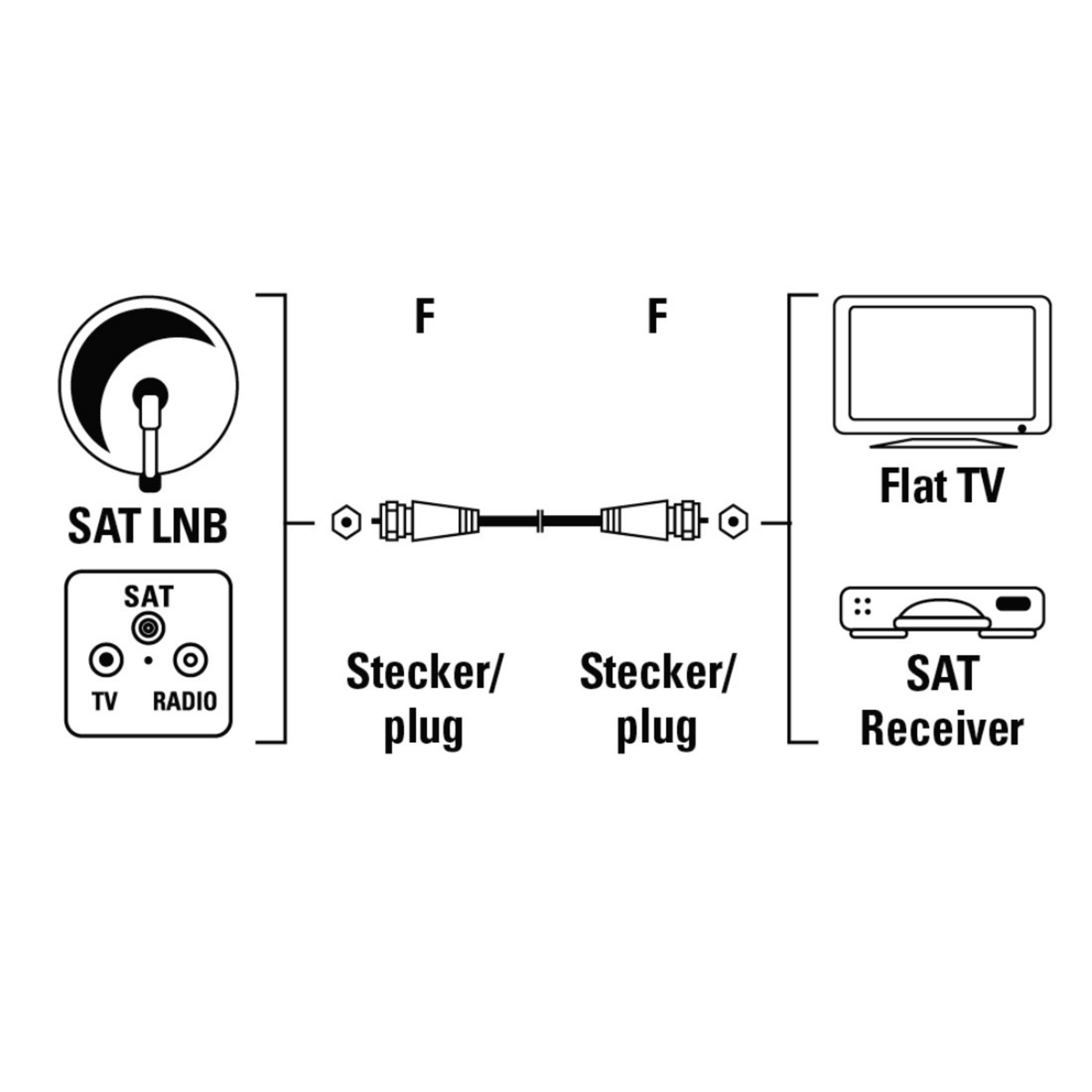 Diagramm eines Satelliten-Setups: LNB, Stecker, und ein Flachbildfernseher und SAT-Receiver. Schwarz und weiß.