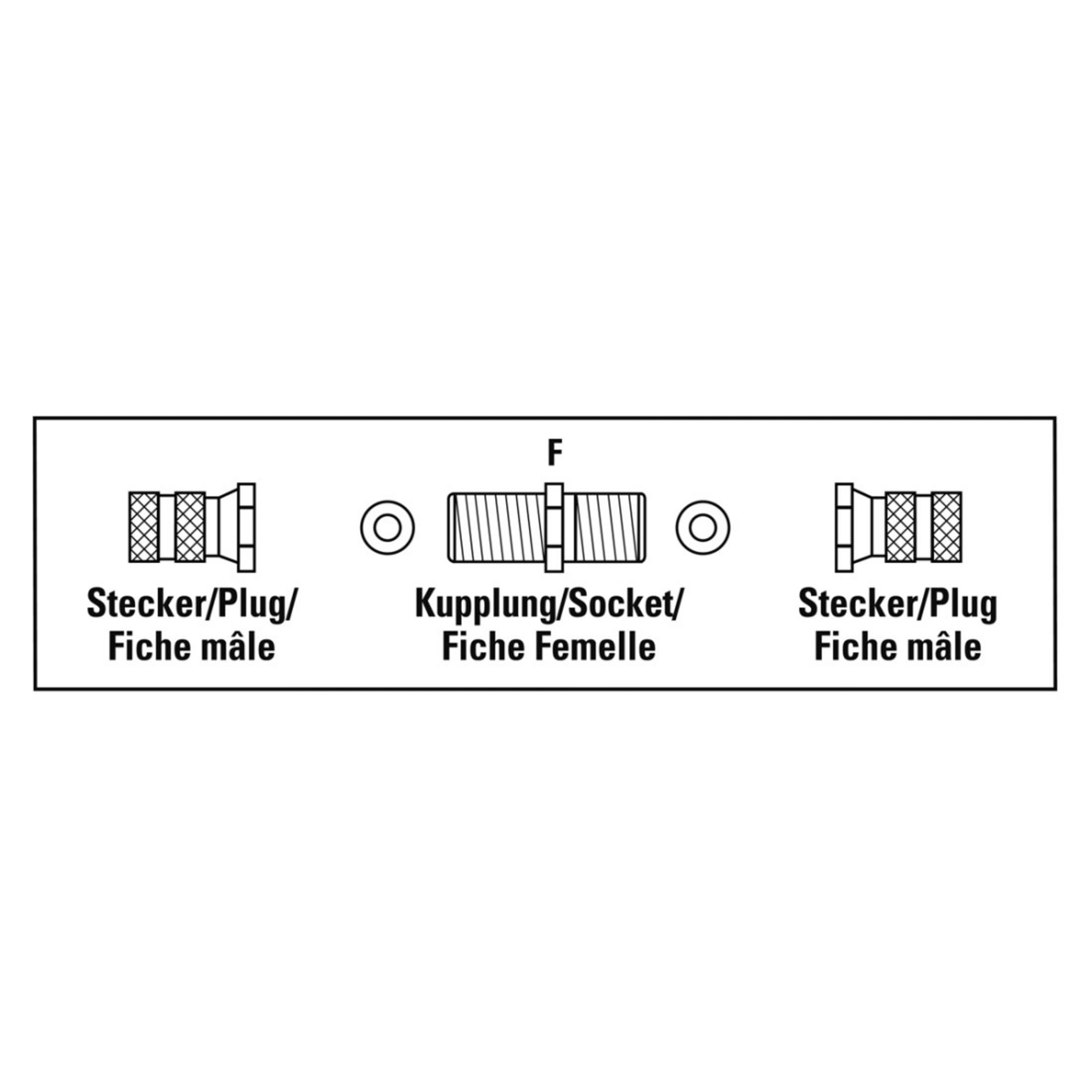 Ein Diagramm mit drei Anschlüssen: Stecker, Buchse und Stecker, mit Textbeschriftungen.
