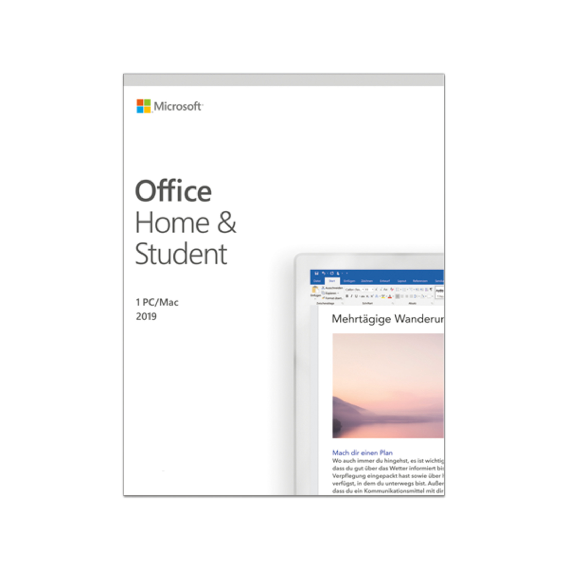 OFFICE HOME 2019 [PC] STUDENT - AND MEDIALESS