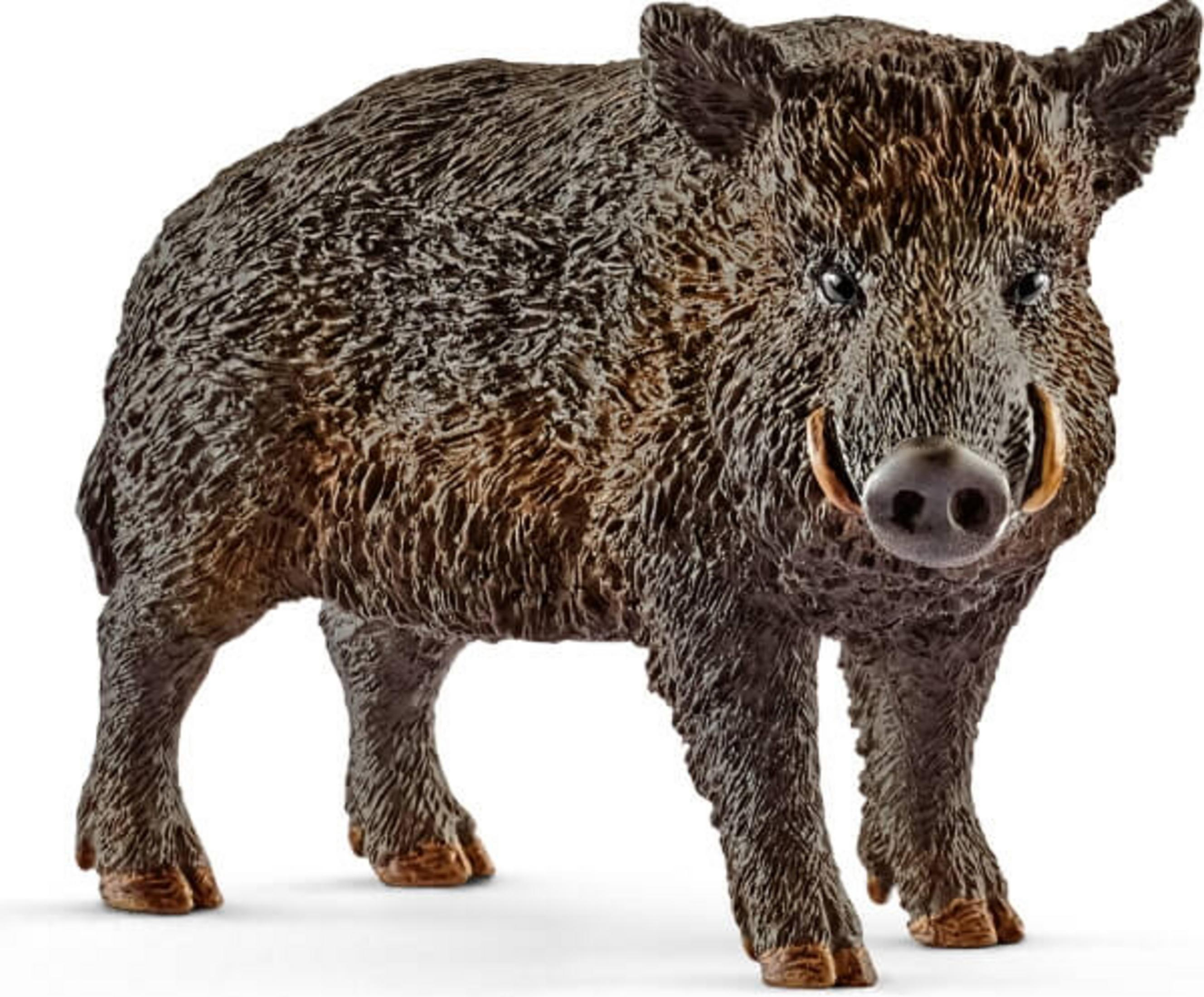 Figurka dzika, brązowa z widocznymi kłami, stojąca na białej powierzchni.