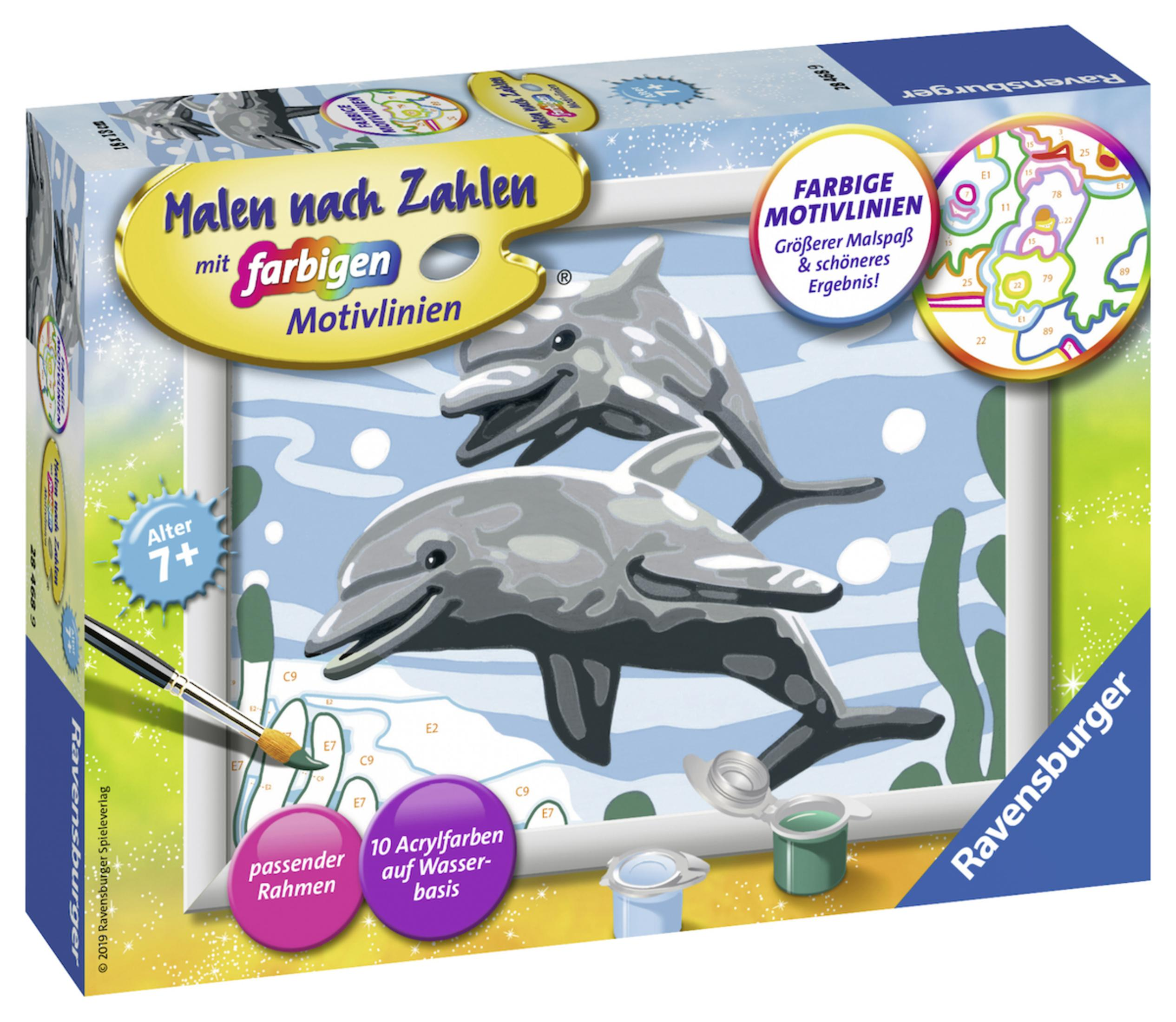 Eine Box mit Malen nach Zahlen mit zwei grauen Delfinen und Anweisungen, für ab 7 Jahren.