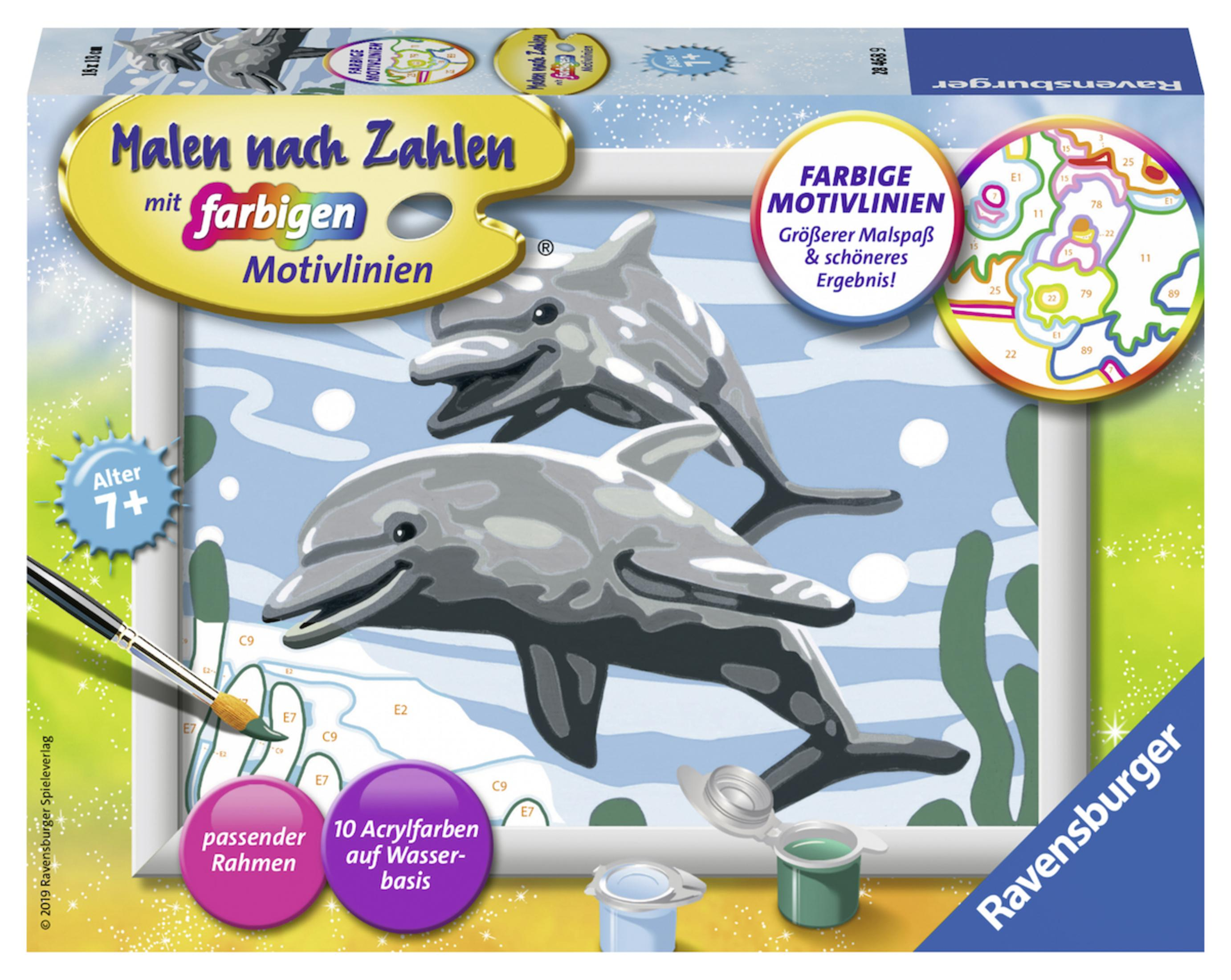 Ein Malen-nach-Zahlen-Set. Das Bild zeigt zwei Delphine. Das Set hat Farbe und Pinsel.