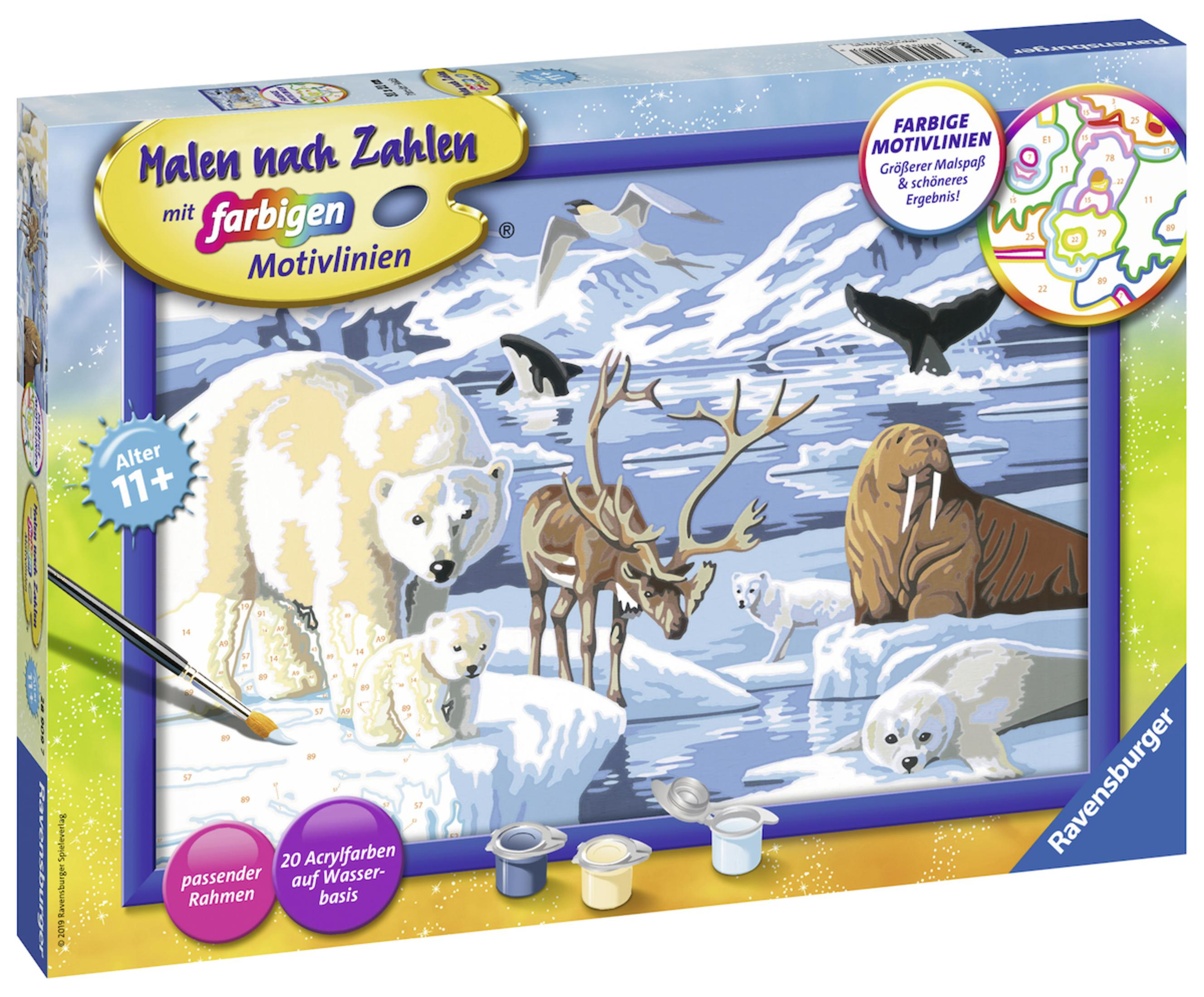 Box-Art: Eisbär und Junges, andere arktische Tiere und eine Malen-nach-Zahlen-Szene. Die Box hat Text.