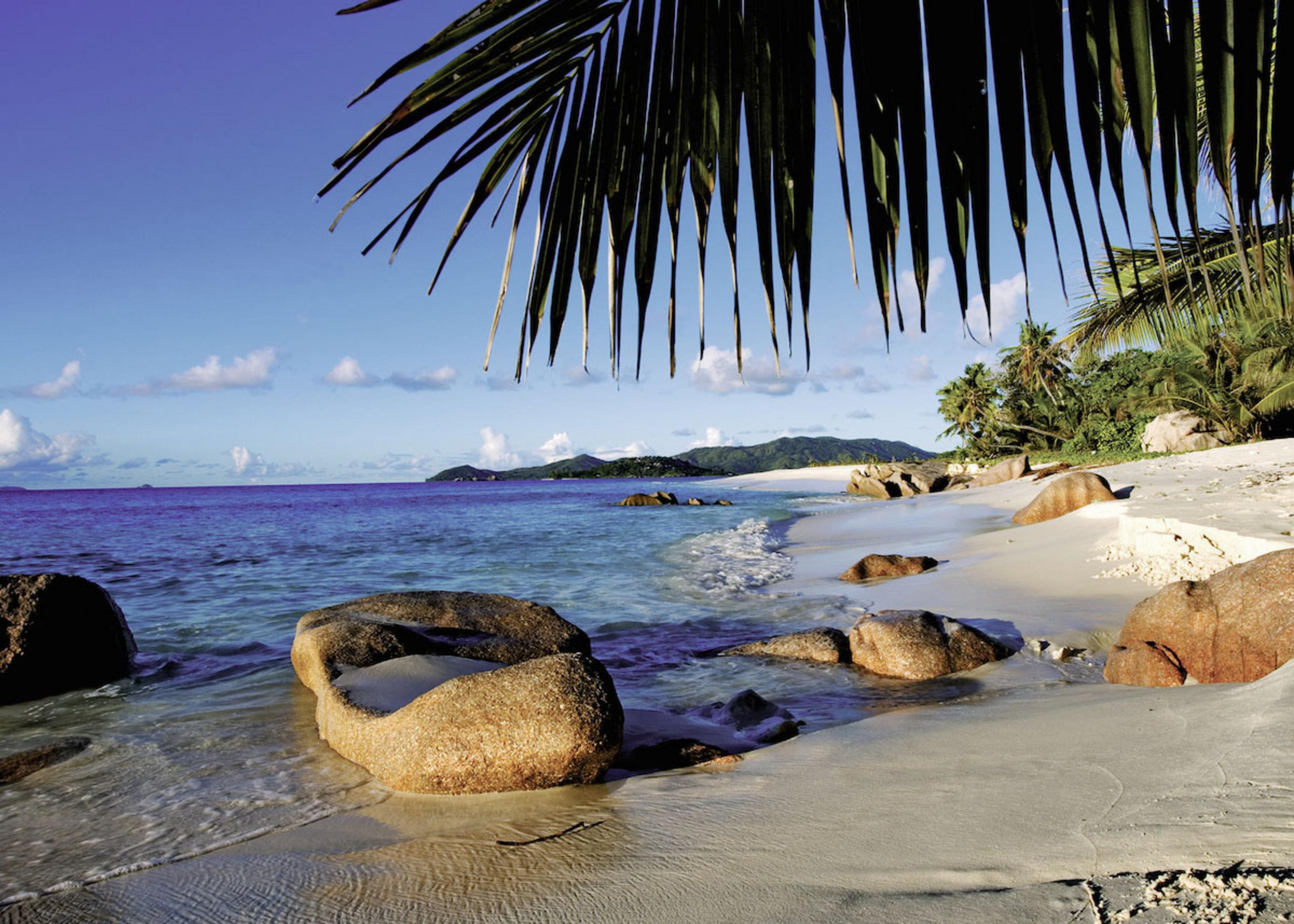 Tropischer Strand mit Palmenblättern, türkisfarbenem Wasser und Granitfelsen.