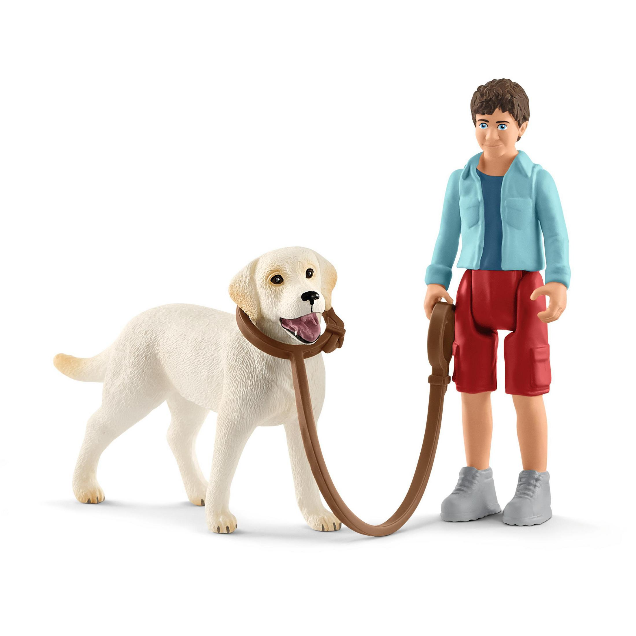 Ein Junge und ein Hund mit Leine. Der Hund ist weiß, der Junge trägt Shorts.