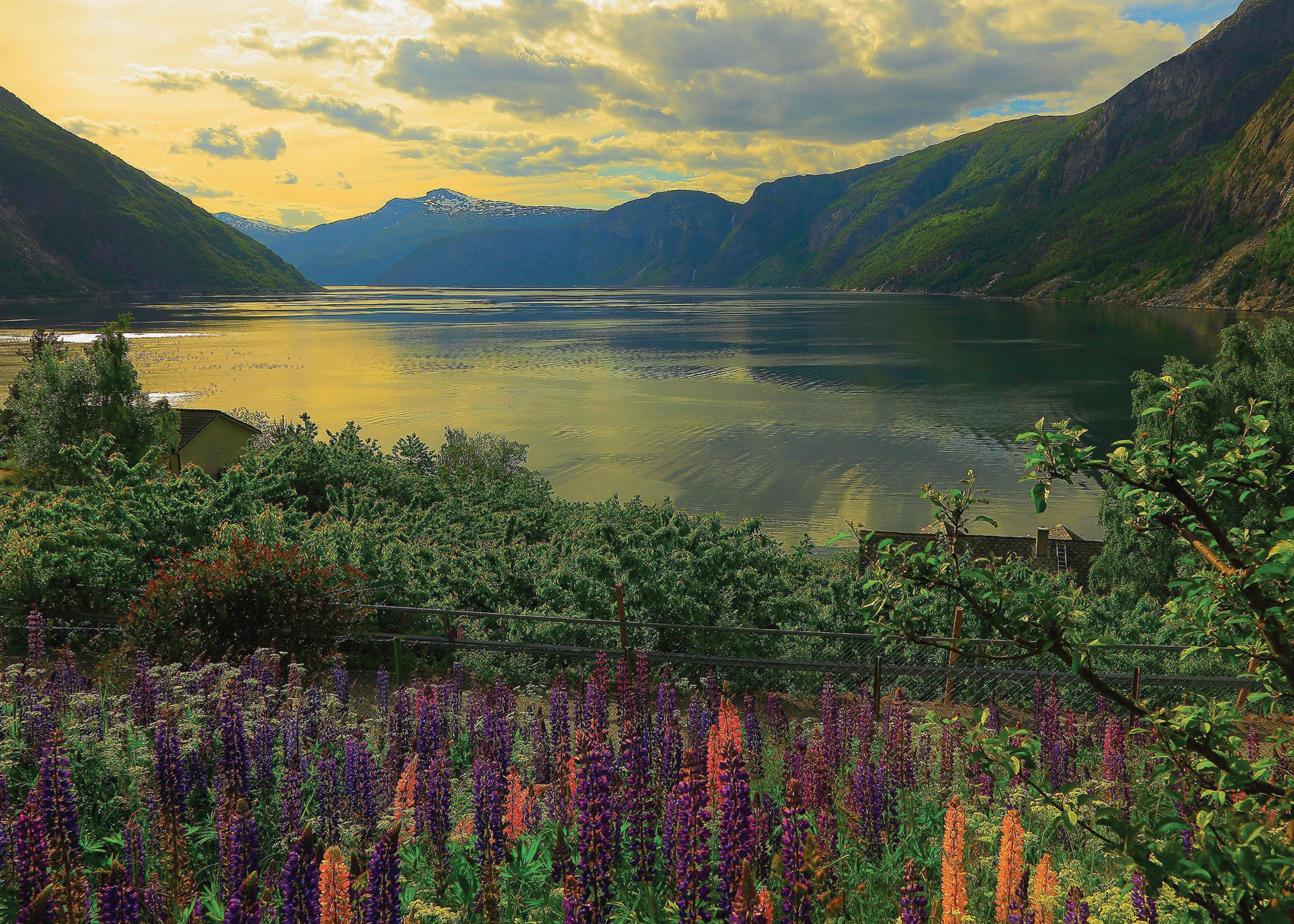 Widok na fiord z górami, wodą i kwiatami na pierwszym planie. Pochmurne niebo.