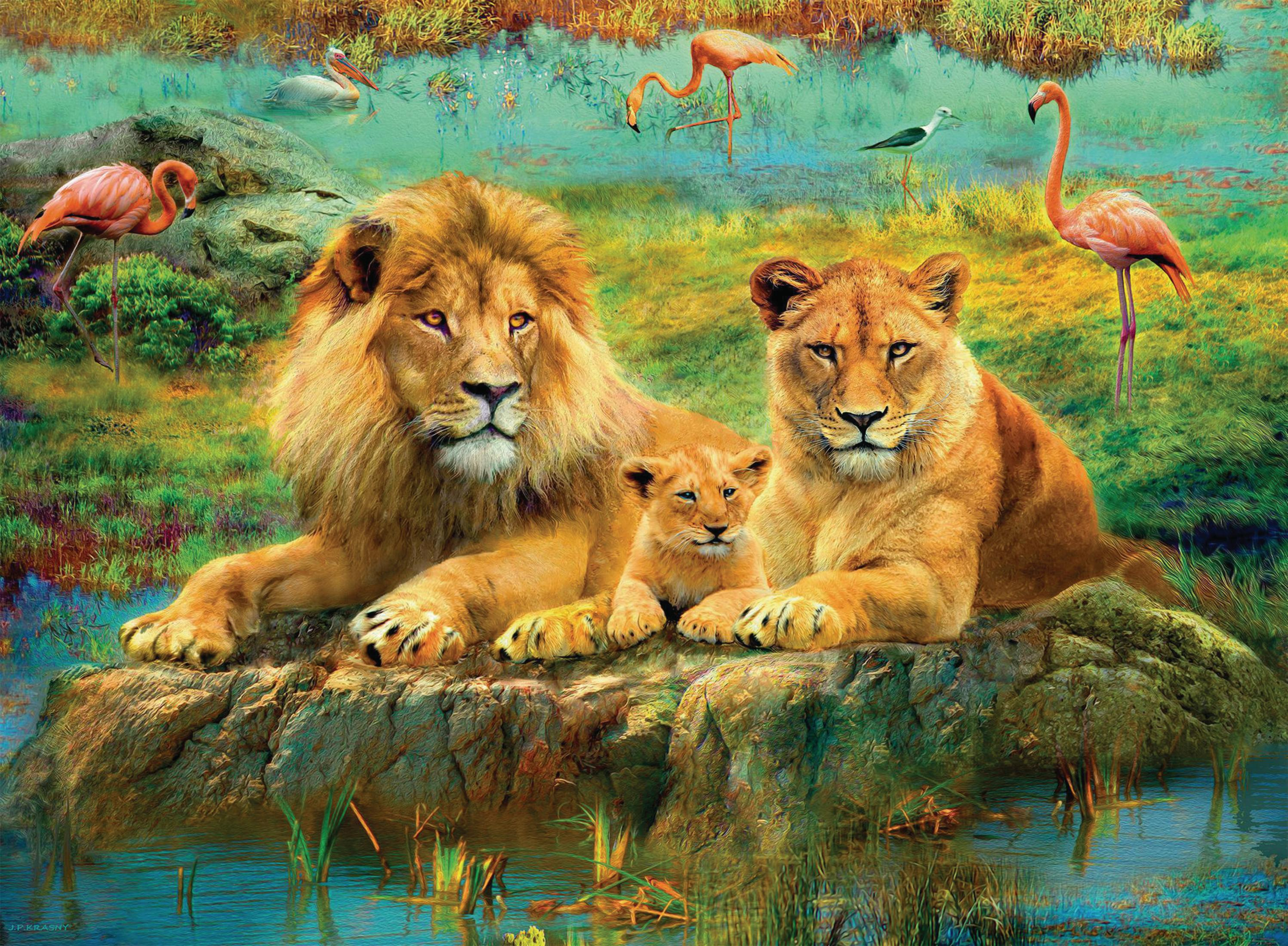 Rodzina lwów i flamingi w pobliżu wody. Lwy odpoczywają na skale.