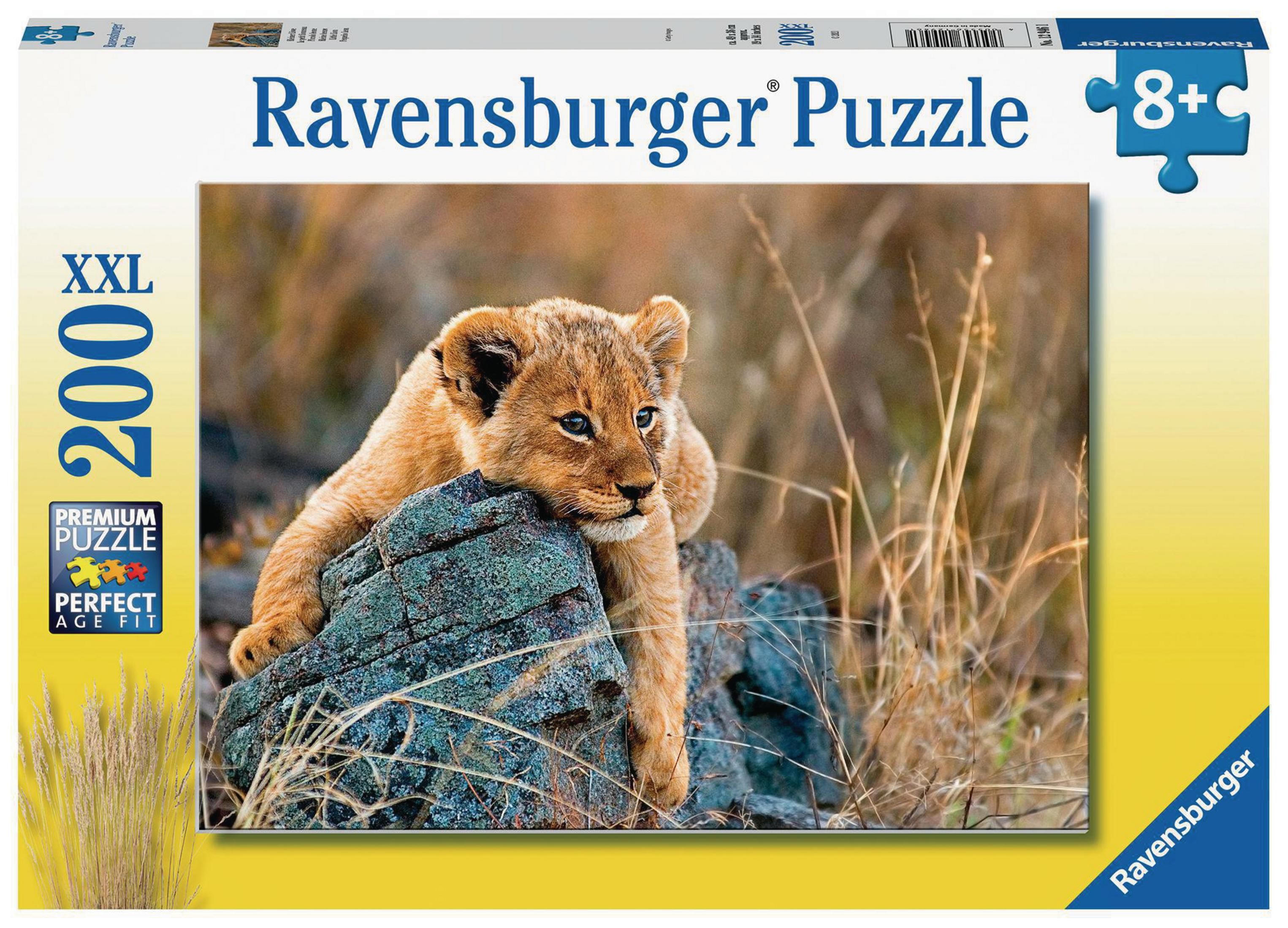 Puzzle-Box: Löwenjunges auf einem Felsen, mit trockenem Gras darum.