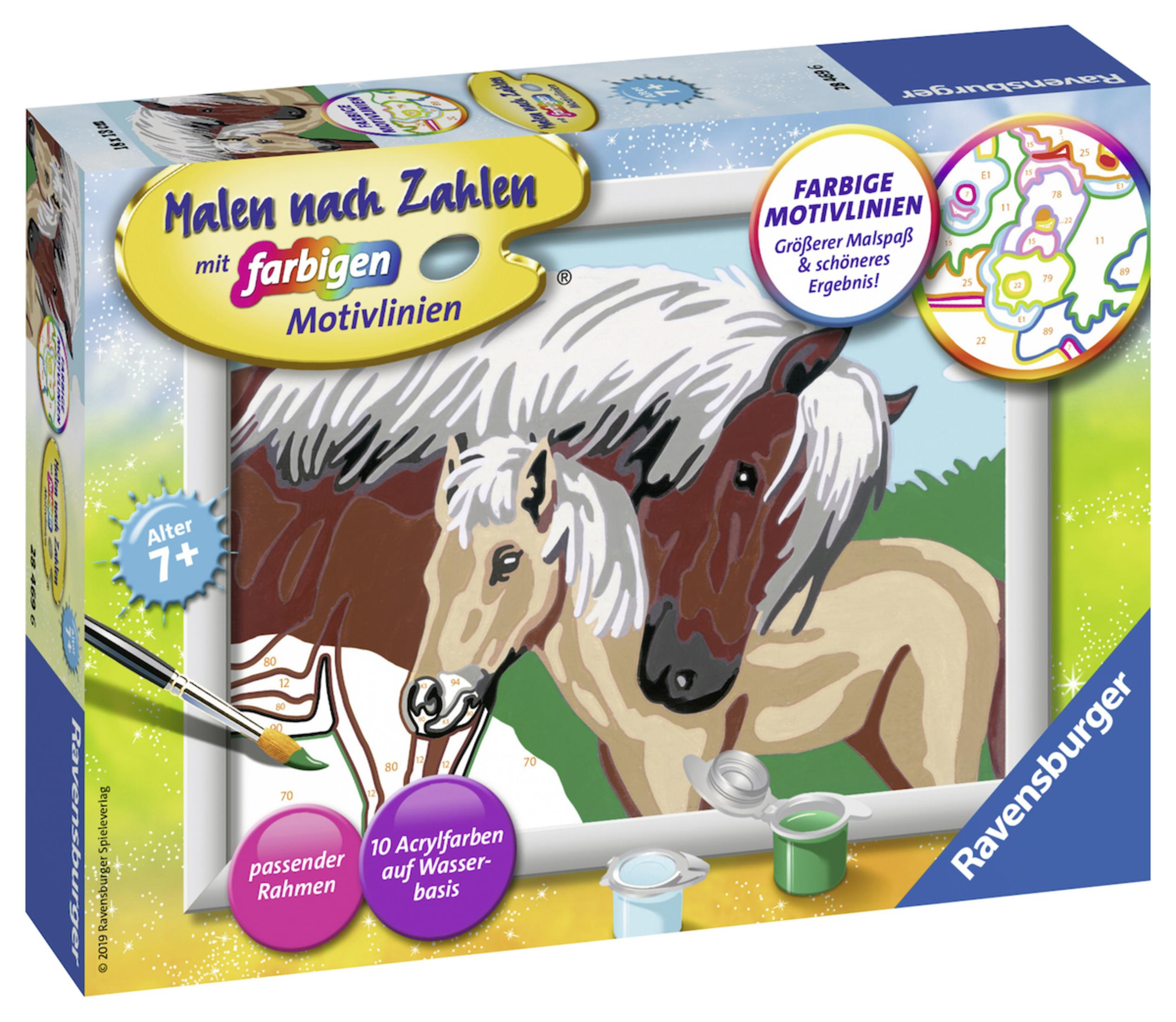 Schachtel mit Malen nach Zahlen mit Pferden. Es zeigt zwei Pferde und die Schachtel hat Text darauf.