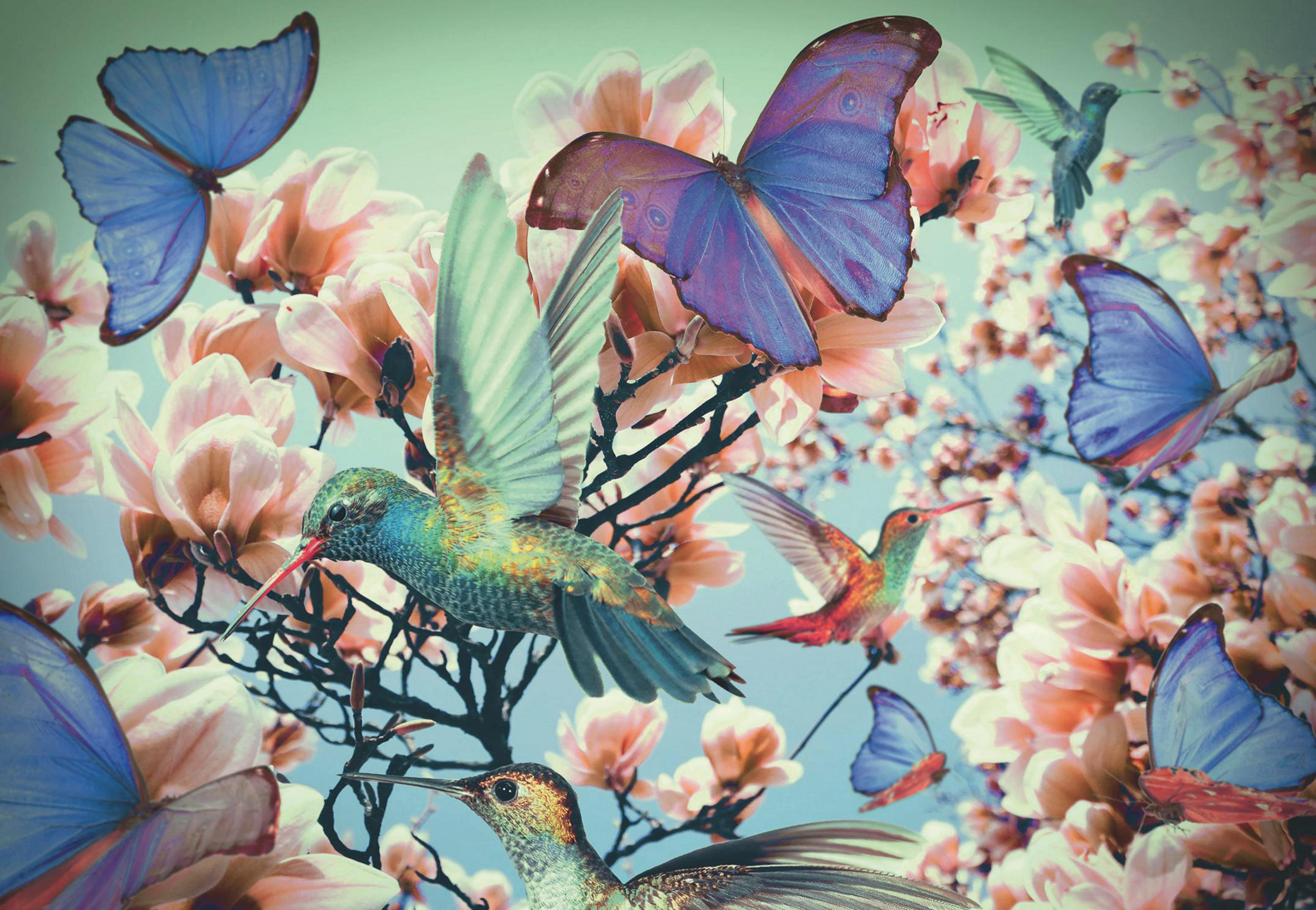 Motyle i kolibry latają wokół kwiatów w słoneczny dzień.