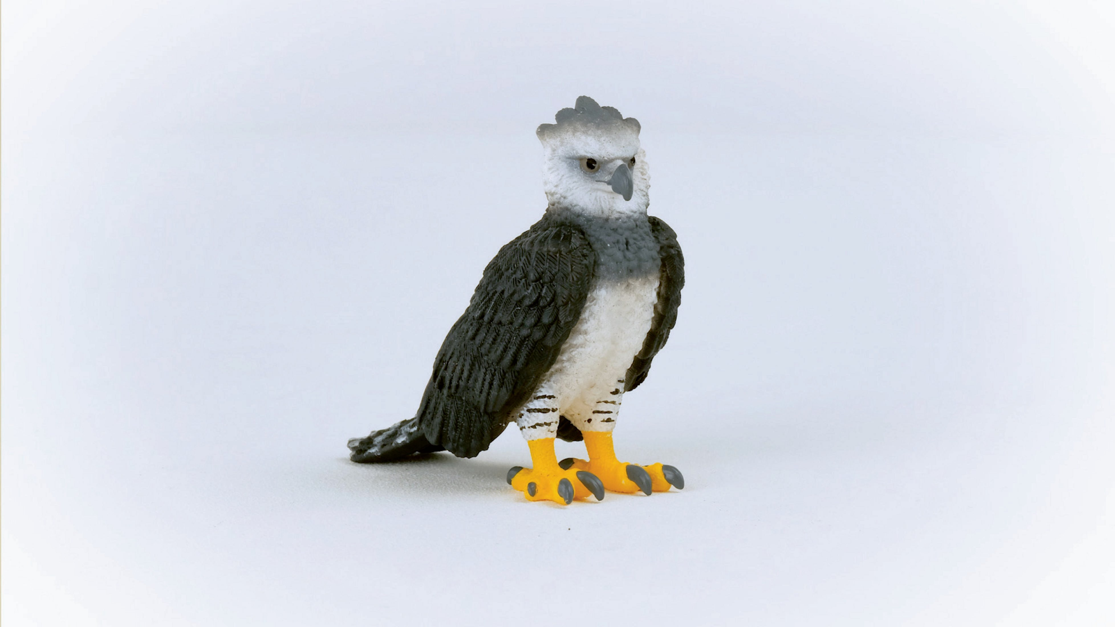 Figurka orła harpii na białym tle. Stoi, ze szczegółowym ciałem i żółtymi nogami.