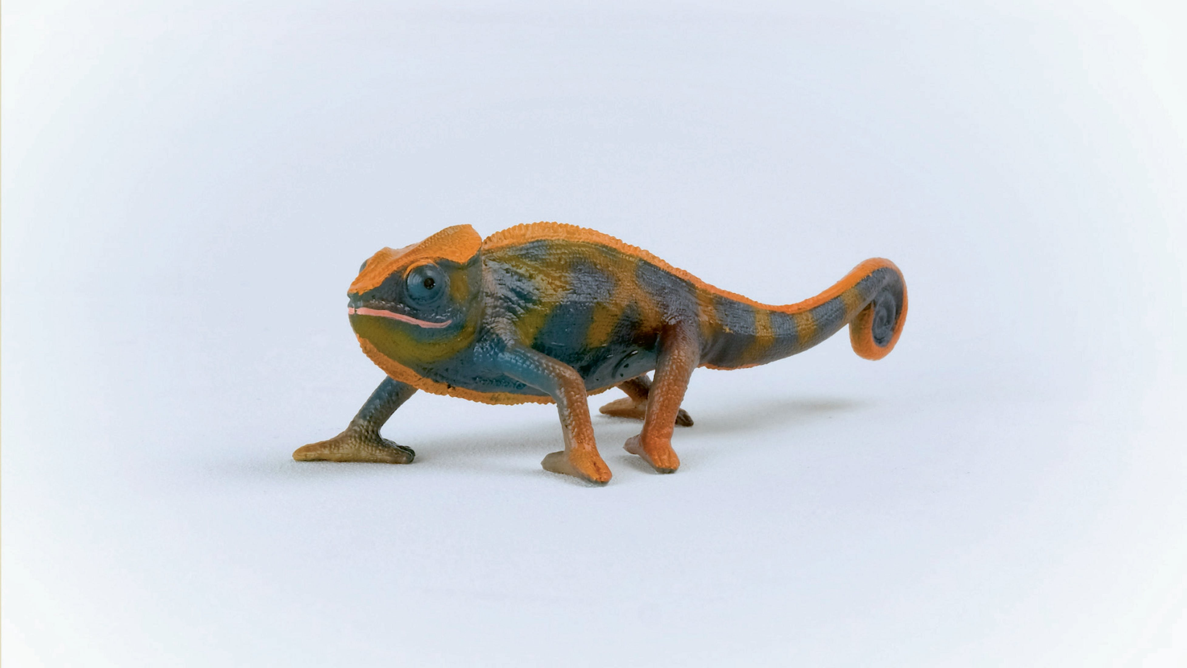 Zabawka kameleona. Pomarańczowa głowa, niebieski tułów i zakręcony ogon. Białe tło, widok z boku.