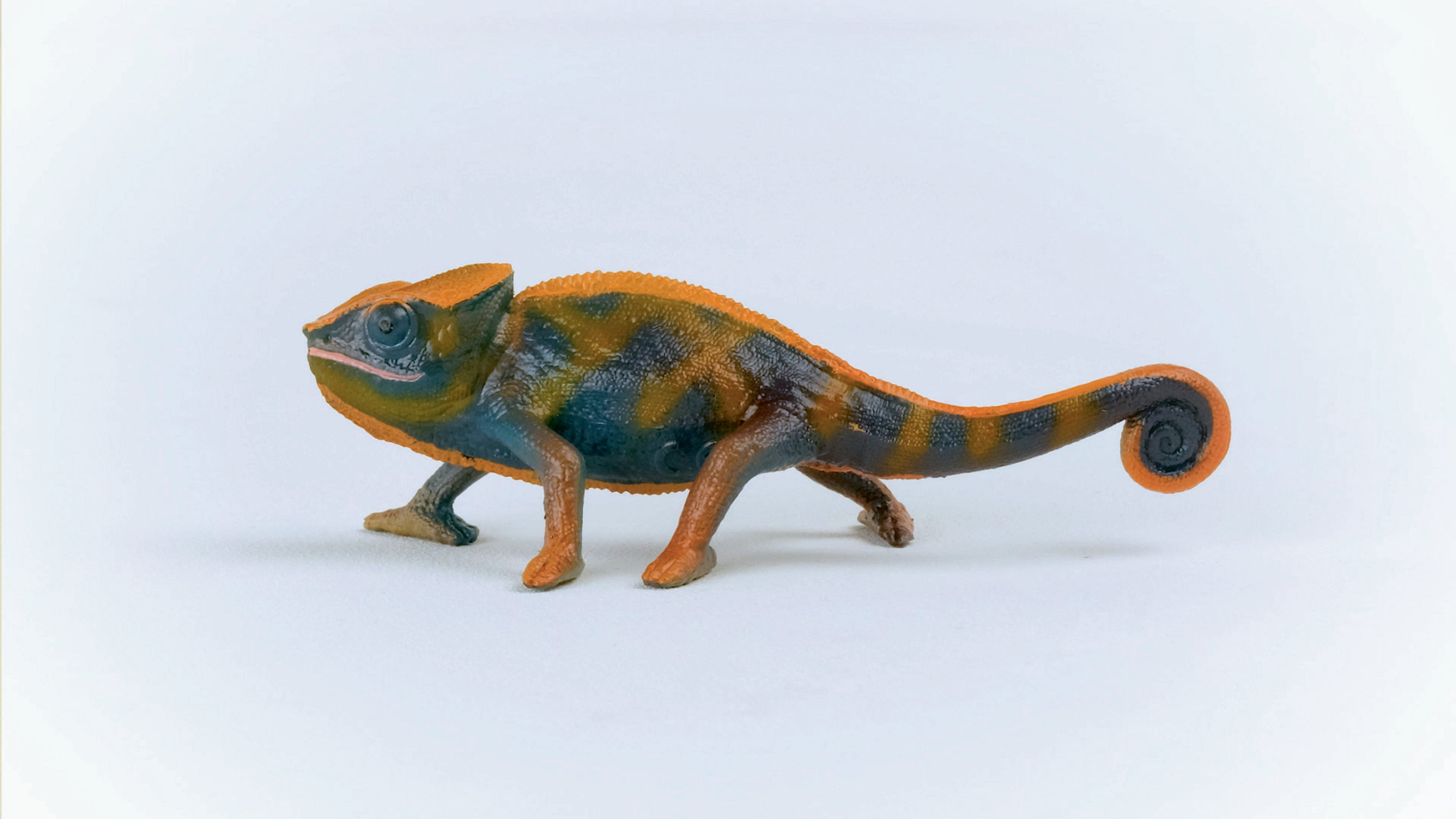 Kameleon na białej powierzchni. Jest zielony, pomarańczowy i brązowy.