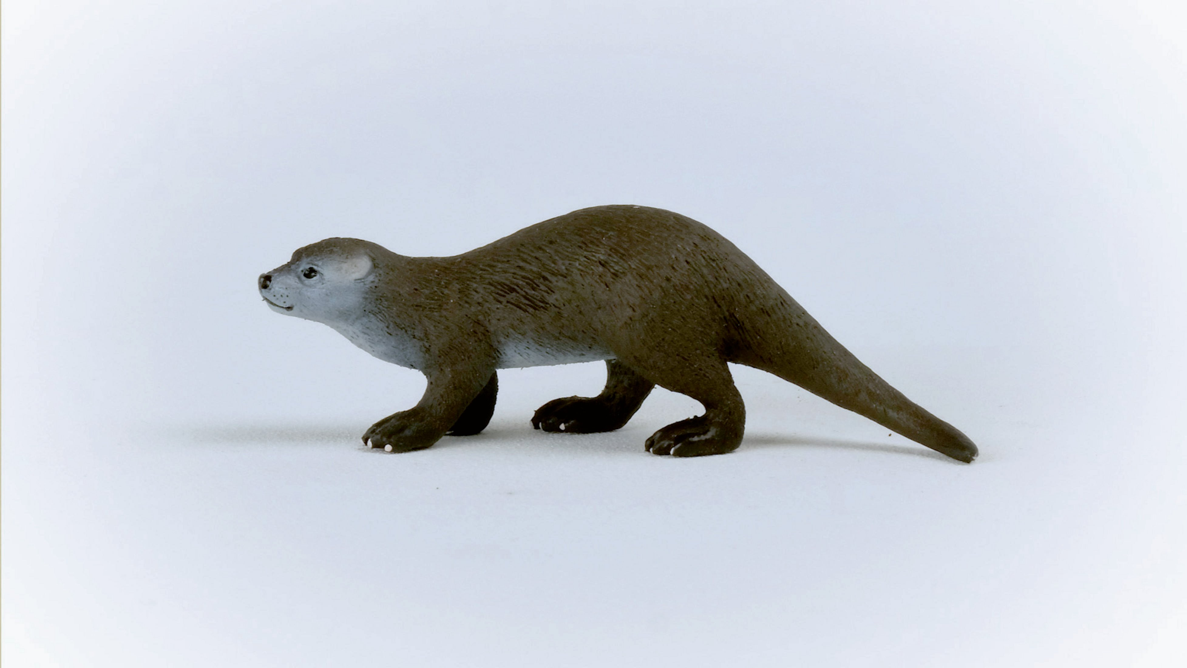 Zabawkowa wydra. Brązowa z szarą twarzą, stoi na białej powierzchni. Wydra patrzy w lewo.