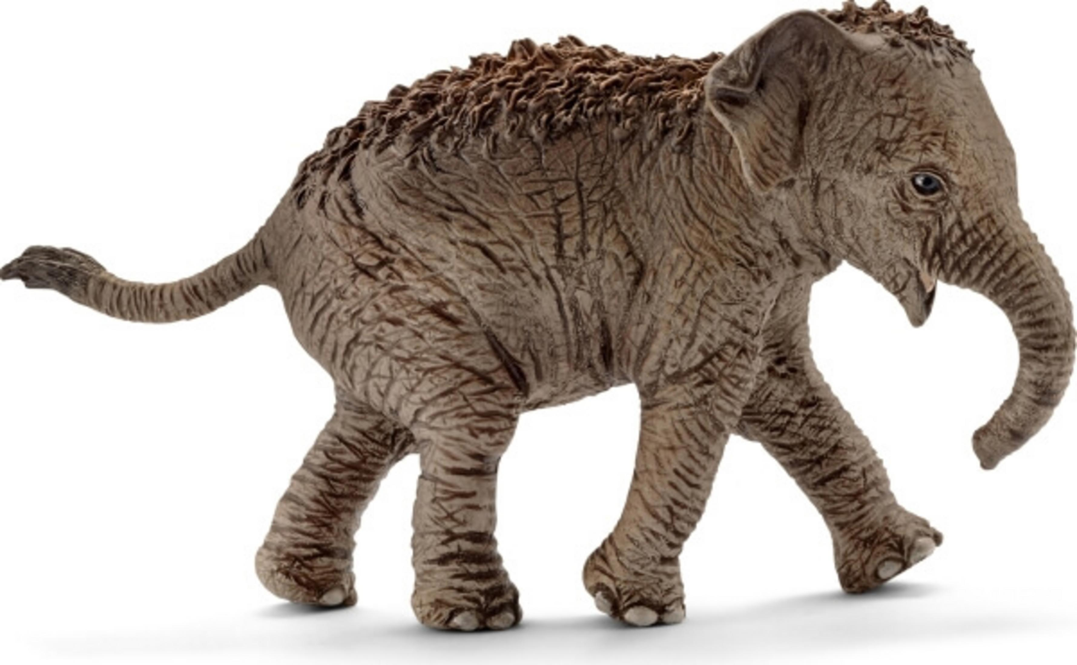 SCHLEICH 14755 ASIATISCHES Mehrfarbig Spielfigur ELEFANTENBABY