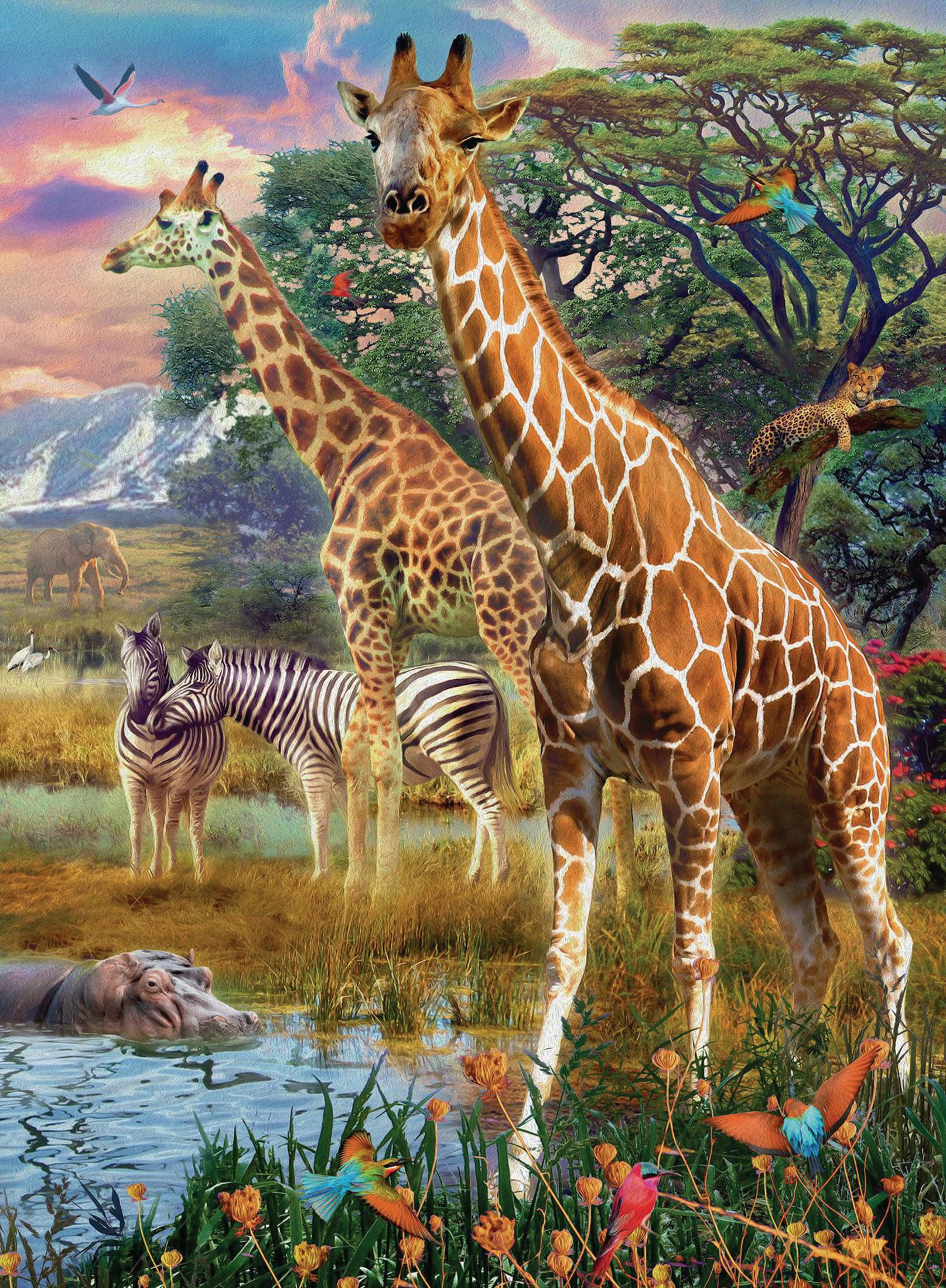 Żyrafy i zebry na sawannie z hipopotamem w wodzie i kolorowymi ptakami.