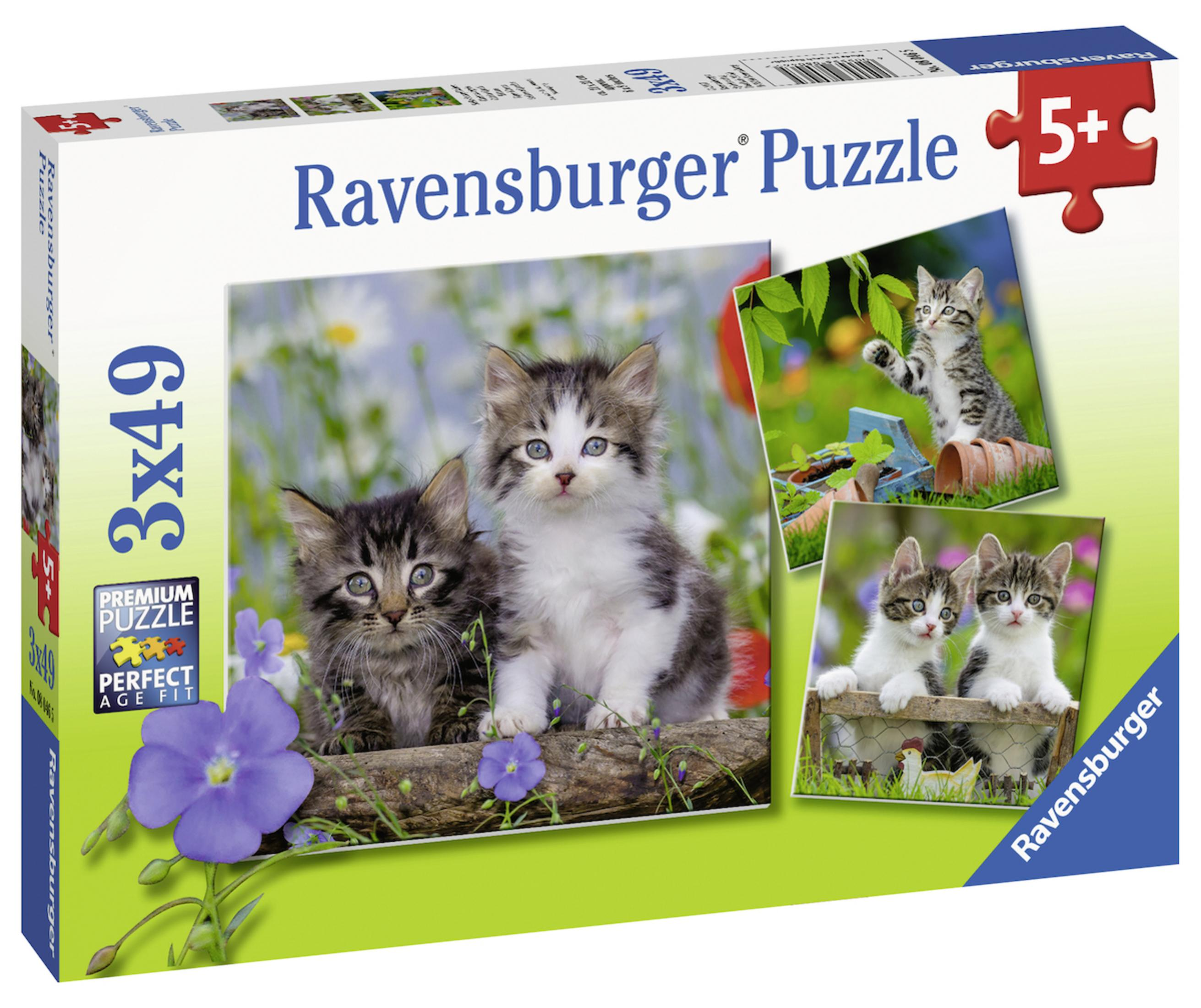 Pudełko z puzzlami z kociętami. Dwa kocięta siedzą na kłodzie i dwa zestawy zdjęć kociąt na pudełku.