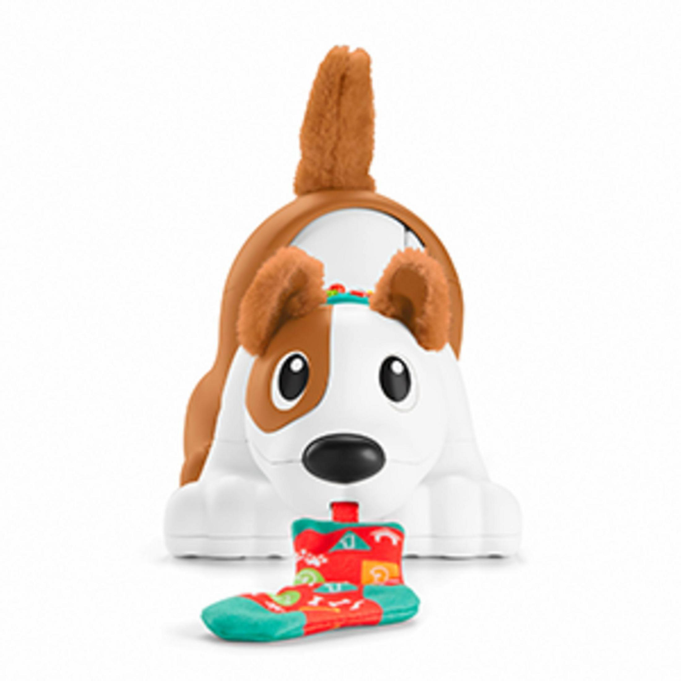 Ein weißes und braunes Hundespielzeug mit einer rot-grünen Socke davor.