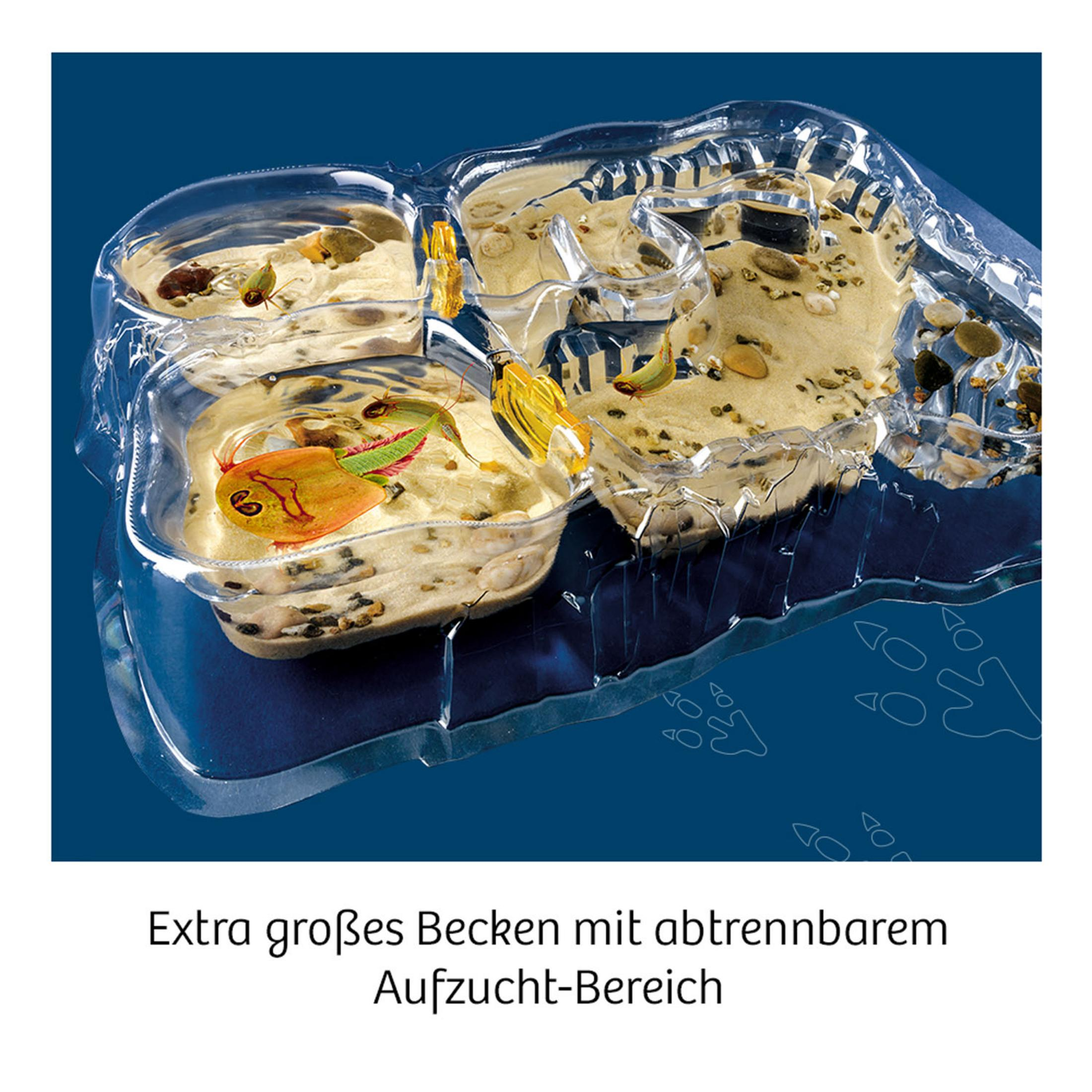 Ein durchsichtiger Kunststoffbehälter mit Sand und Objekten darin, mit einem dunkelblauen Hintergrund.
