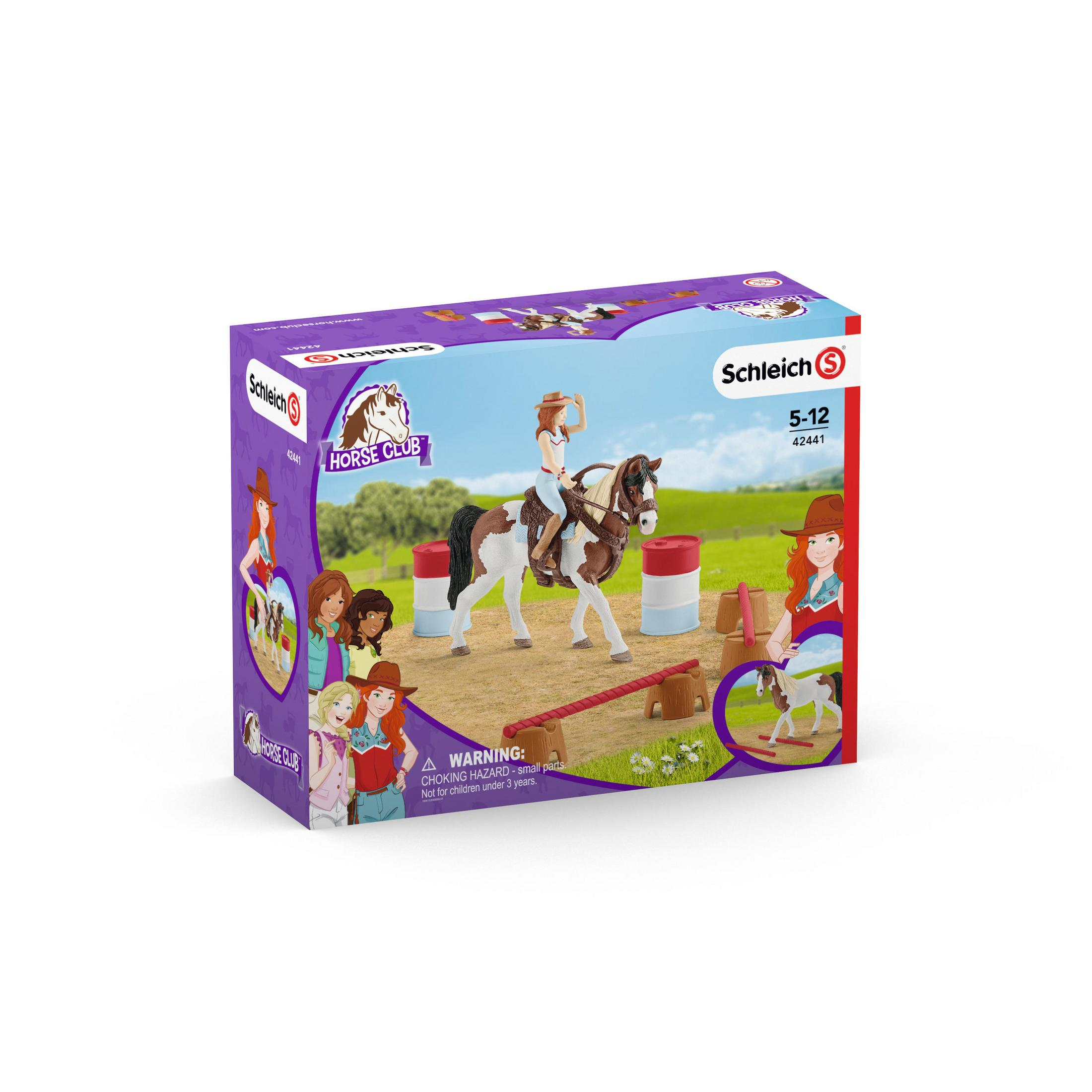Eine Box eines Spielzeug-Pferdeclub-Sets mit Pferd und Reiter sowie einem Pferd mit Sprüngen.