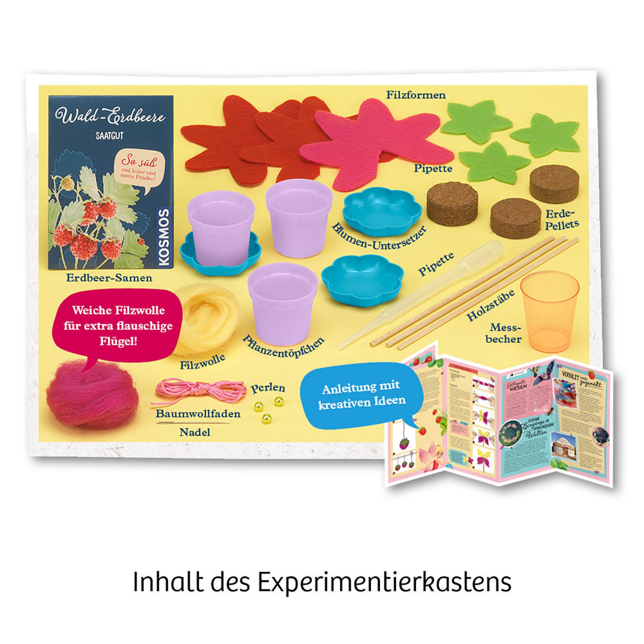 Ein Erdbeer-Anbau-Set mit Anweisungen, Samen, Erde und Werkzeugen, auf weißem Hintergrund.