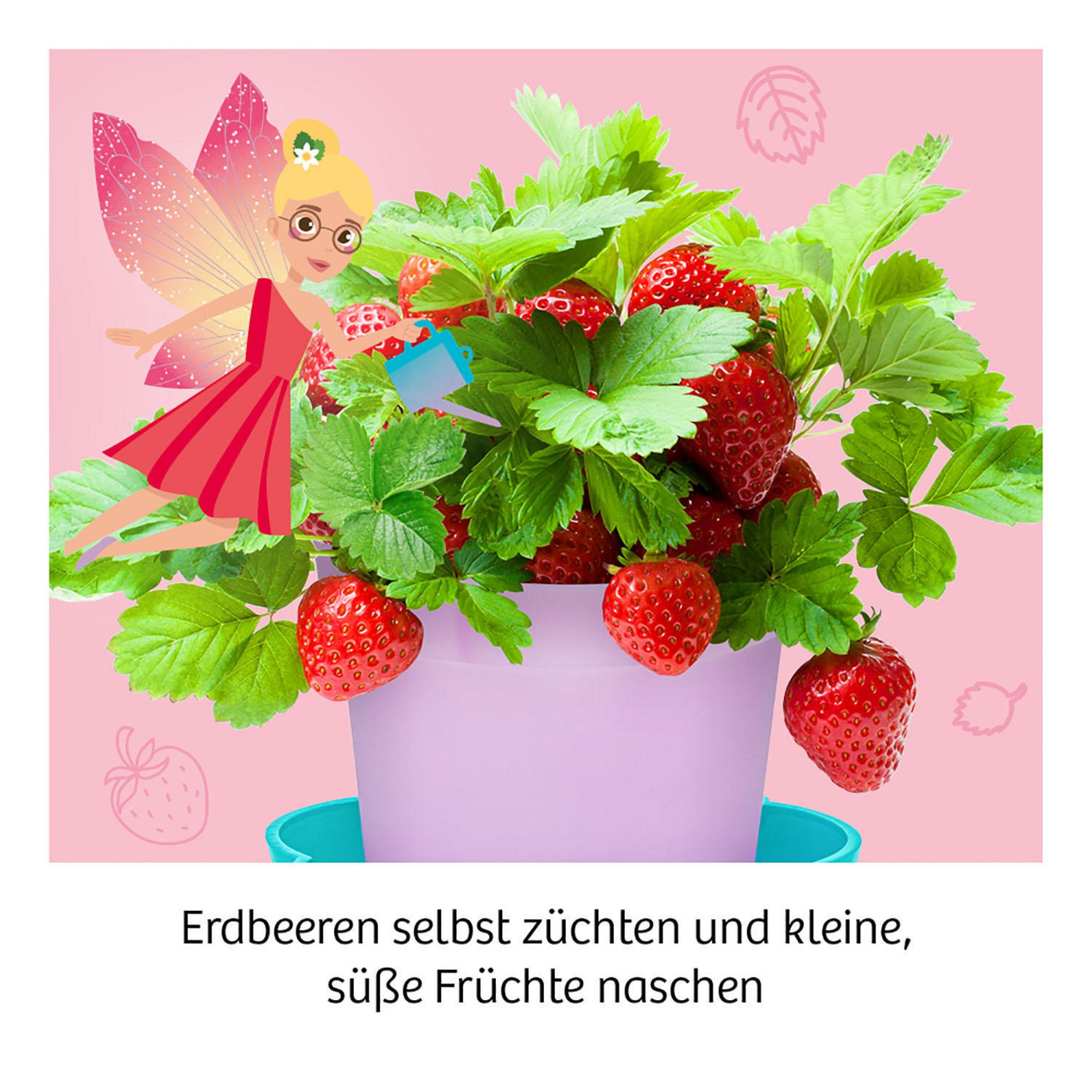 Eine Fee mit rosa Kleid gießt Erdbeeren, die in einem lila Topf wachsen. Text auf Deutsch erscheint unter dem Bild.