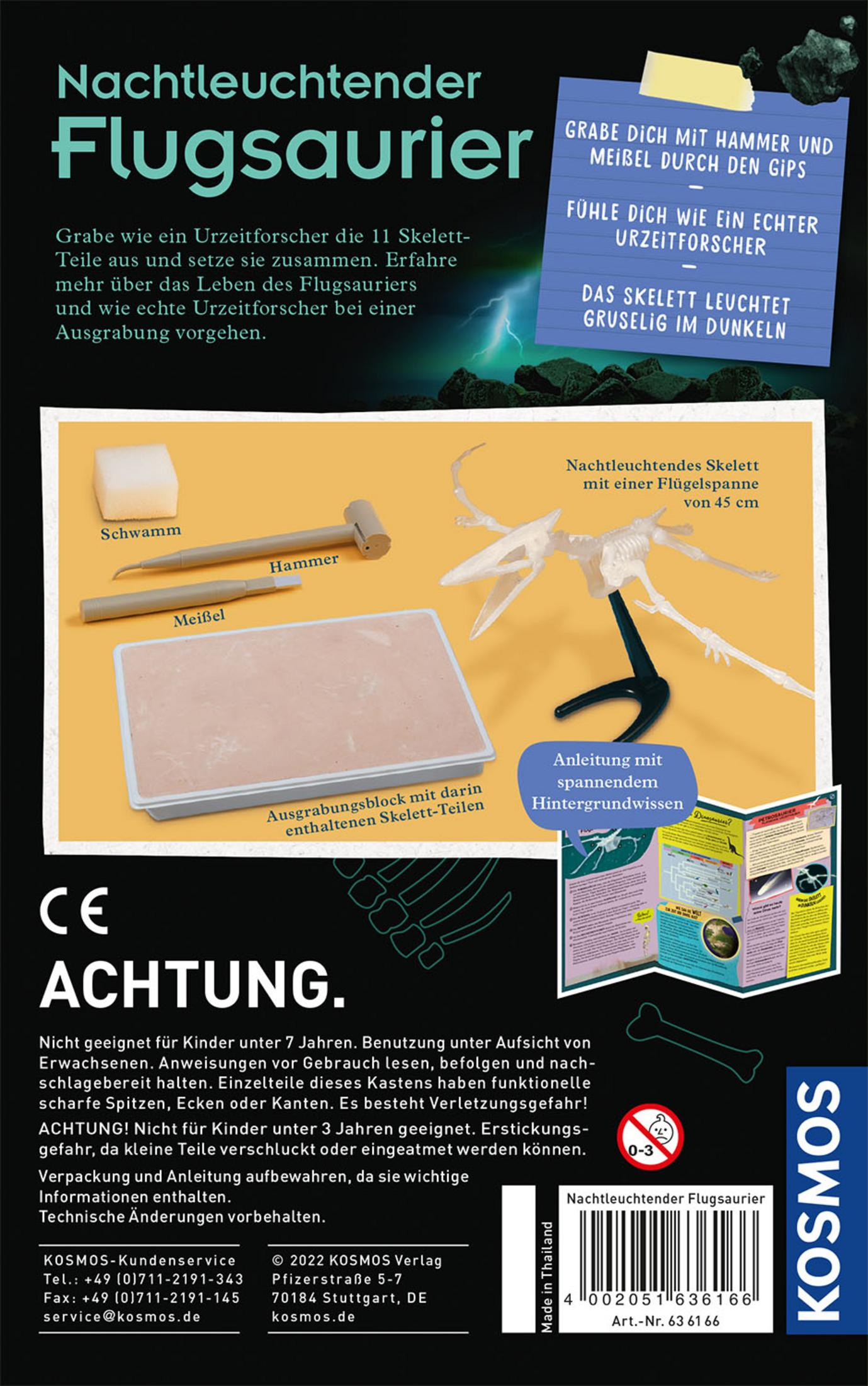 Box mit Dinosaurier-Skelett-Bausatz. Werkzeuge und Anweisungen, inkl. leuchtendes Skelett.
