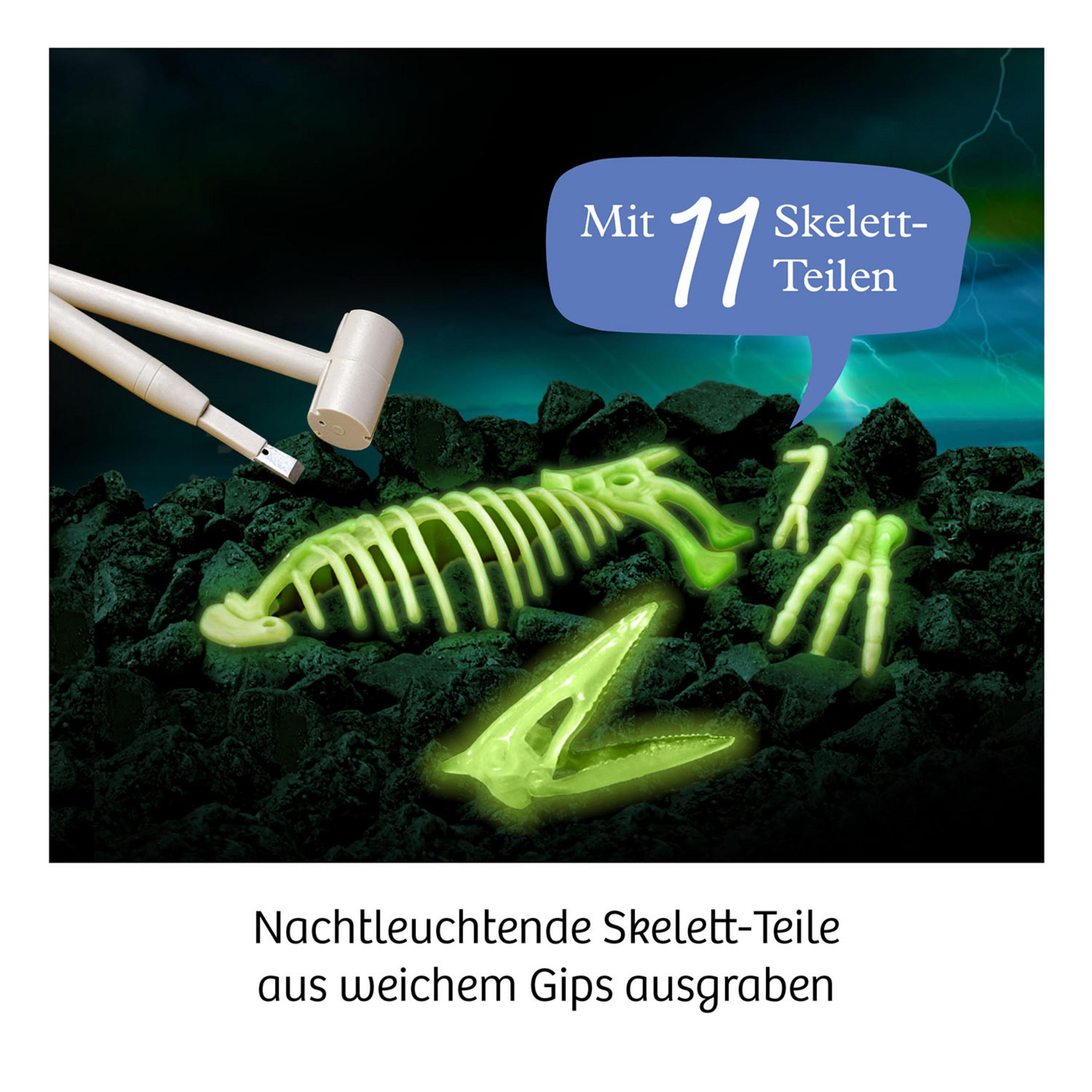 Im Dunkeln leuchtende Skelettteile auf dunklem Untergrund. Text oben und unten.