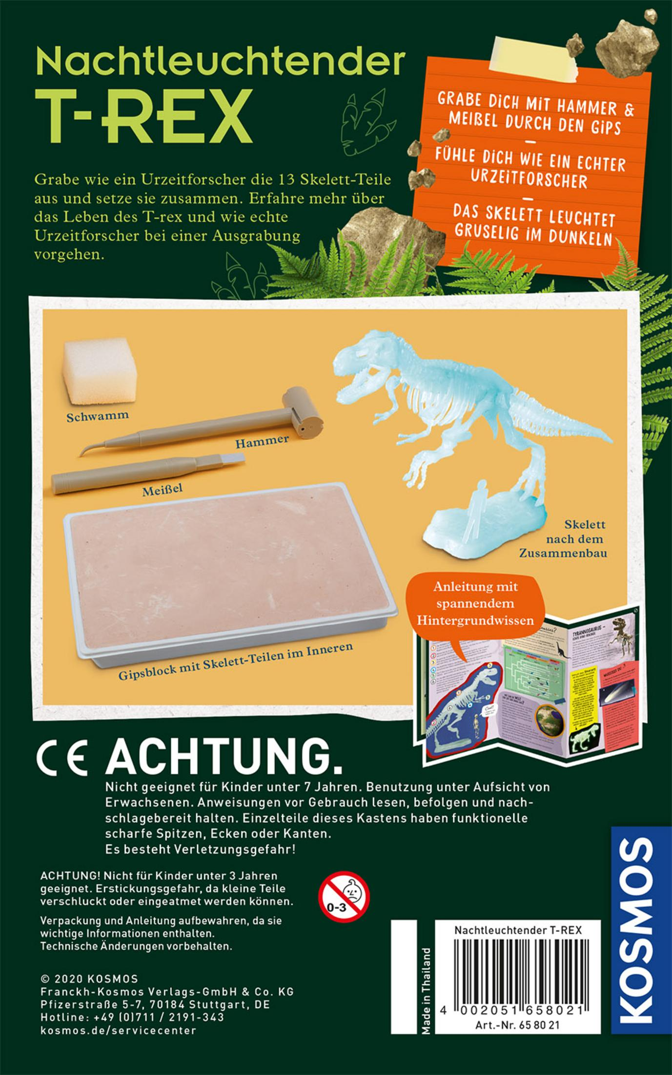 Rückseite einer T-Rex Skelett-Kit-Box. Es zeigt das Skelett, Werkzeuge und Anweisungen zur Montage.