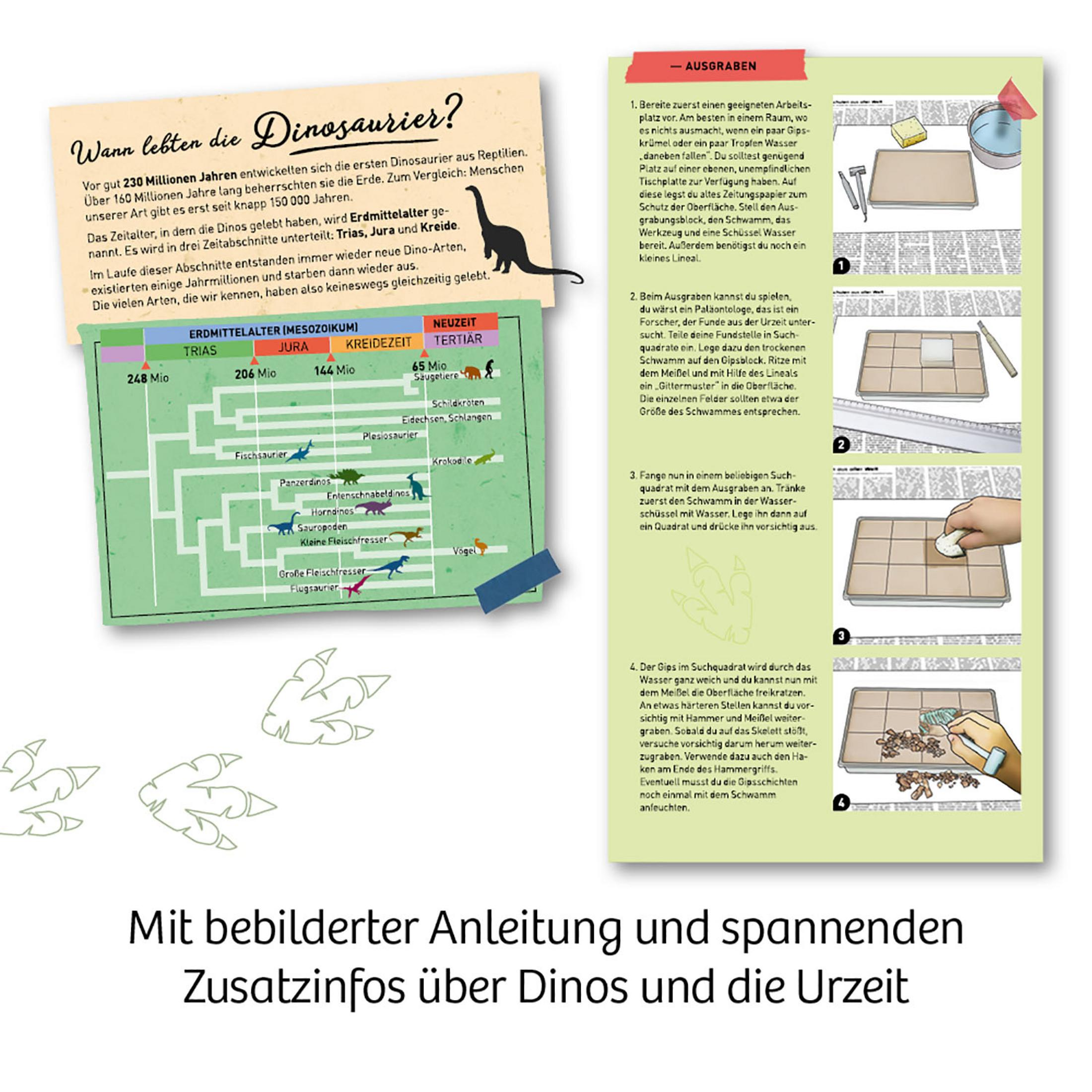 Ein Diagramm, das die Geschichte der Dinosaurier erklärt. Es hat eine Zeitleiste und Illustrationen von Dinosauriern.