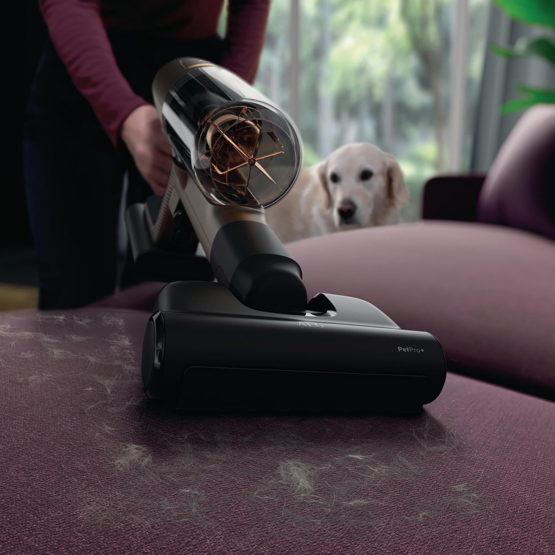Una persona aspira un sofá morado con una aspiradora PetPro+. Un perro es visible.