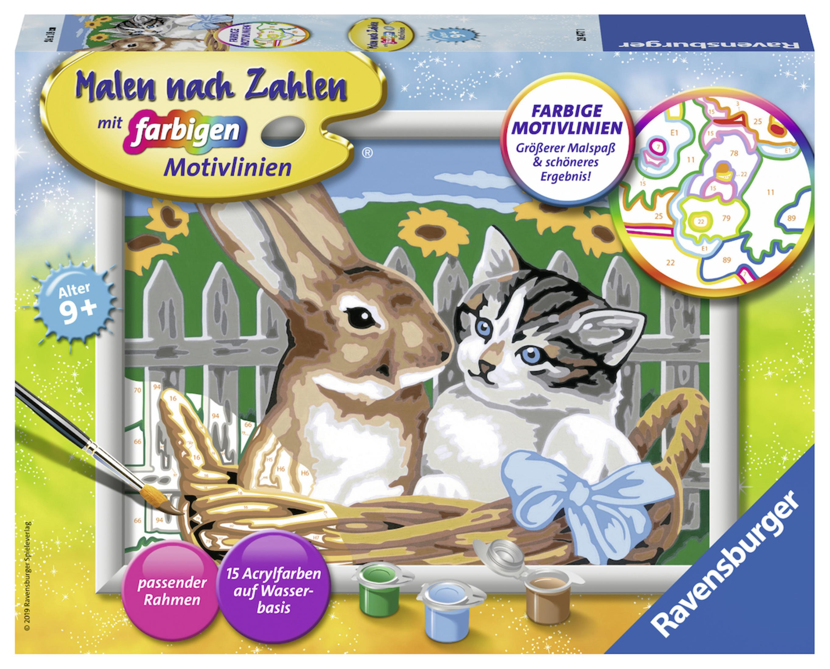 Ein Malen-nach-Zahlen-Set mit einem Hasen und einer Katze in einem Korb, einem Zaun und Farbe.