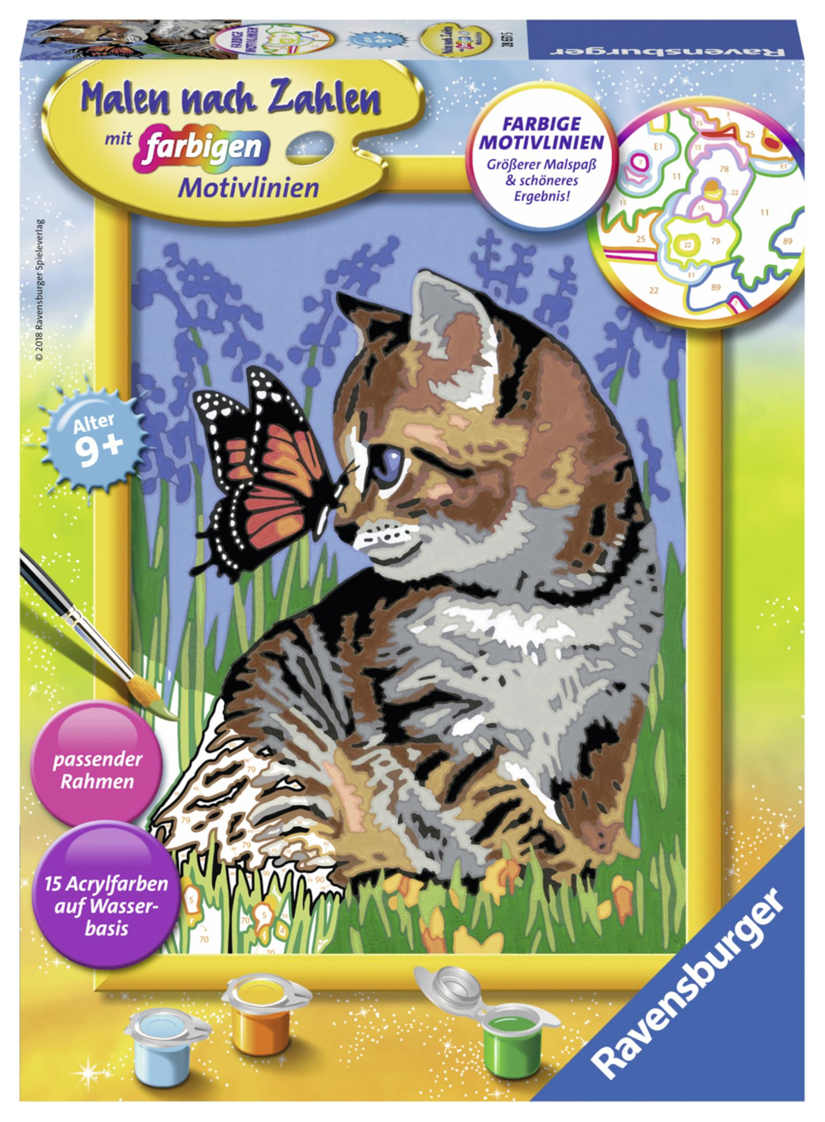 Ein Malen-nach-Zahlen-Set zeigt eine Katze mit einem Schmetterling auf der Nase und einem Pinsel.