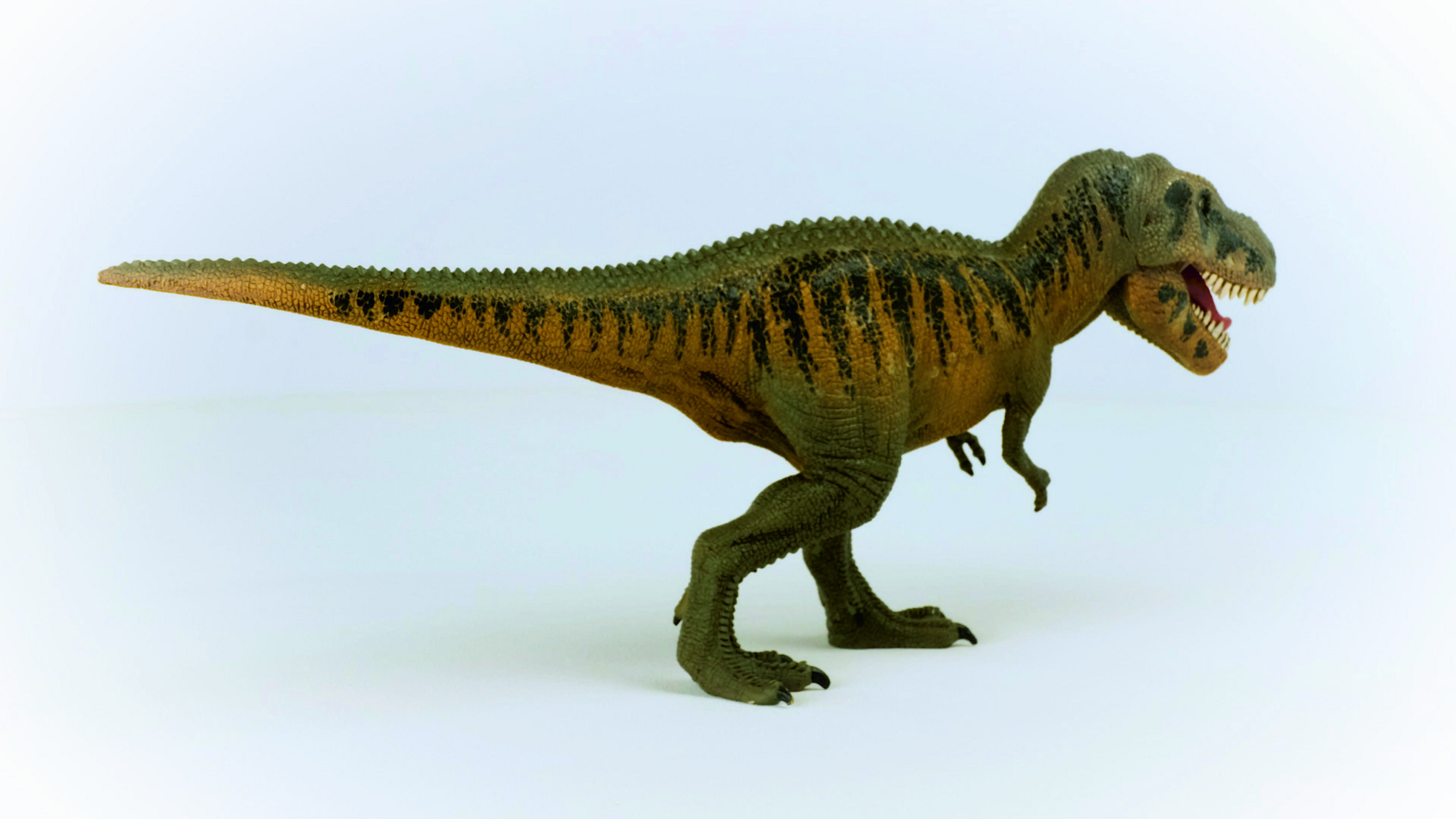 Ein Spielzeug-Tyrannosaurus Rex aus Kunststoff in Grün- und Brauntönen auf weißem Untergrund.