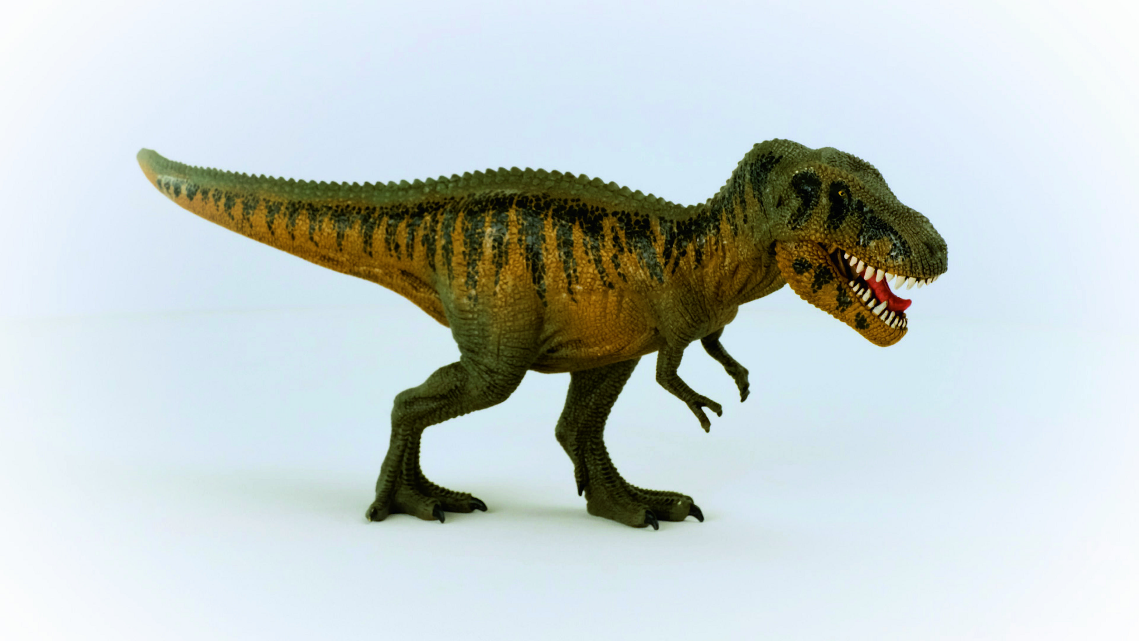 Spielzeug-Dinosaurier. Grün-gelbe T-Rex-Figur. Zähne sichtbar. Weißer Hintergrund.