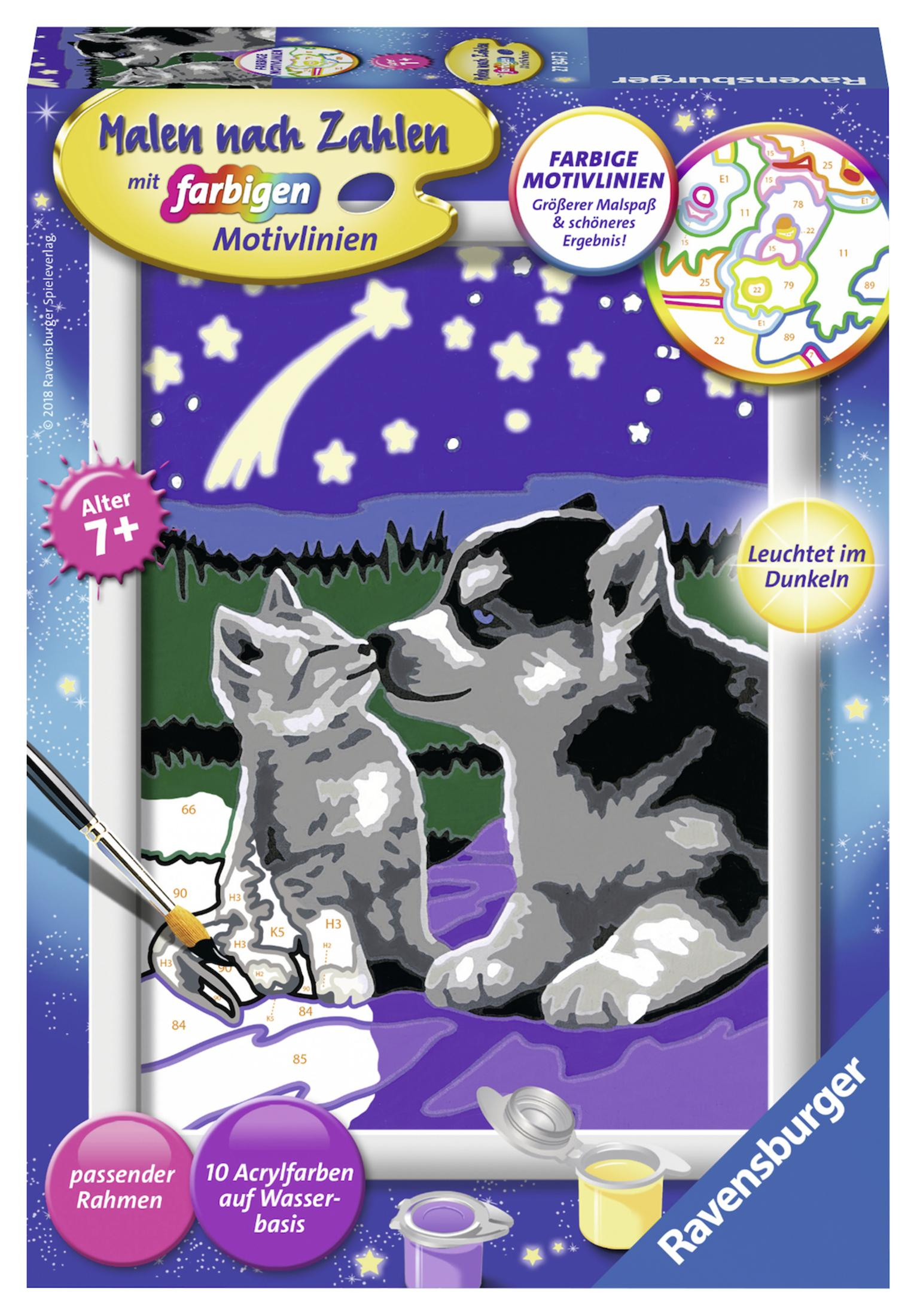 Schachtel eines Malsets mit Hund und Katze. Das Set enthält Farbe und einen Rahmen.