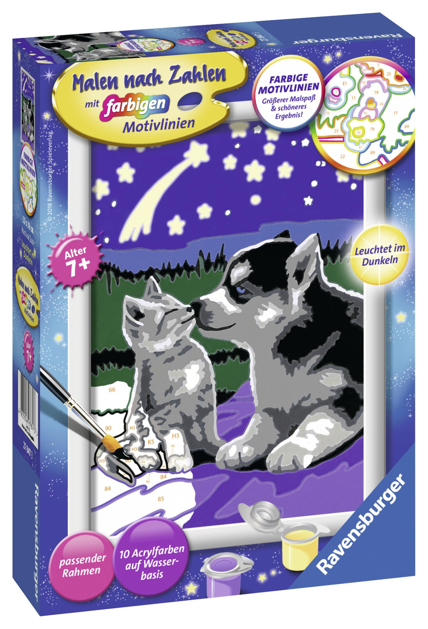 Malen-nach-Zahlen-Kit-Box mit Hund und Katze, Sternenhimmel und Farben.