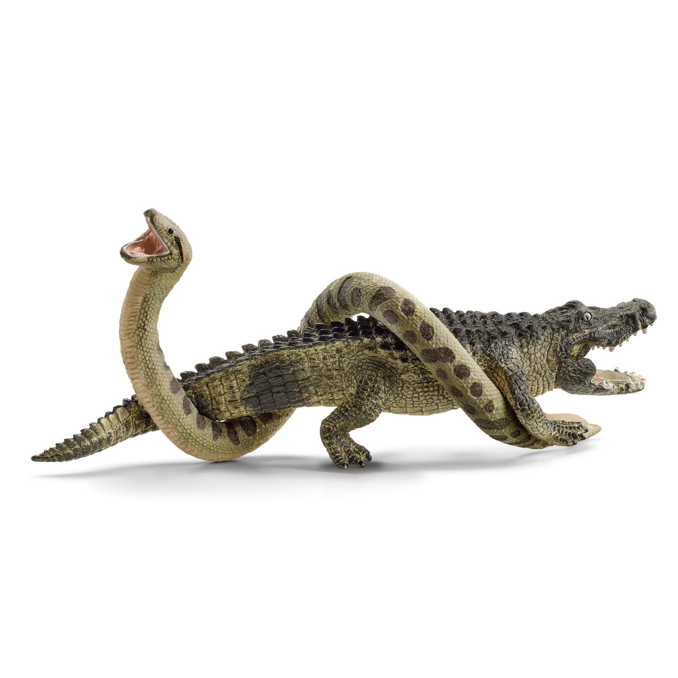 Ein Krokodil greift eine Schlange an, beide in Kampfpose, vor weißem Hintergrund.