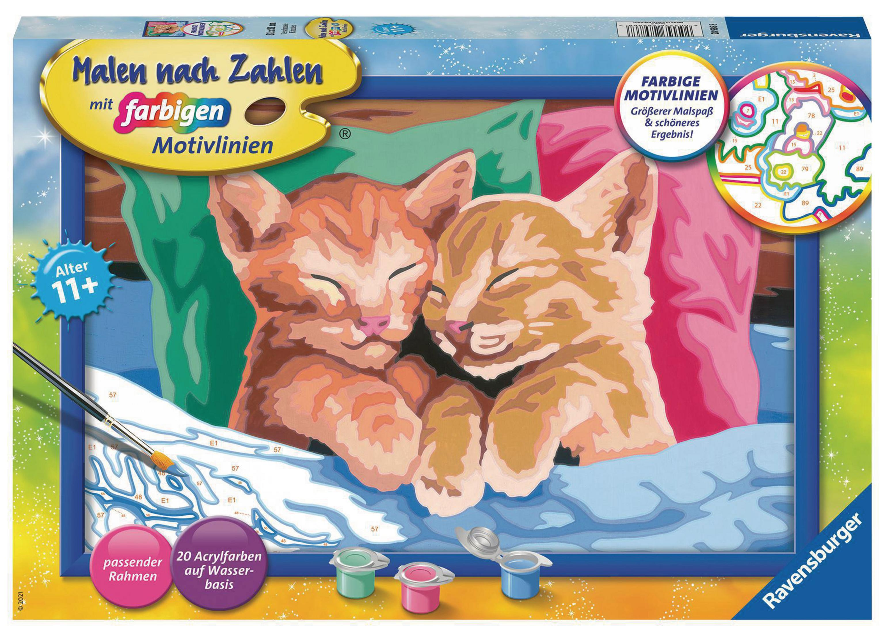 Eine Malen-nach-Zahlen-Kit-Box mit zwei sich umarmenden Kätzchen auf blauem Hintergrund.