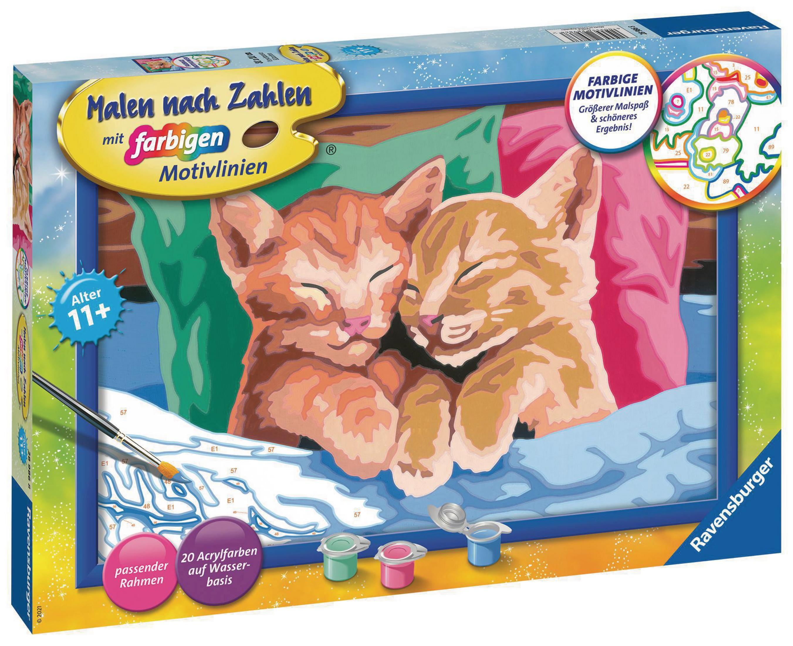 Malen nach Zahlen Set. Zwei Kätzchen, Farbe und Pinsel. Blauer und rosa Hintergrund.