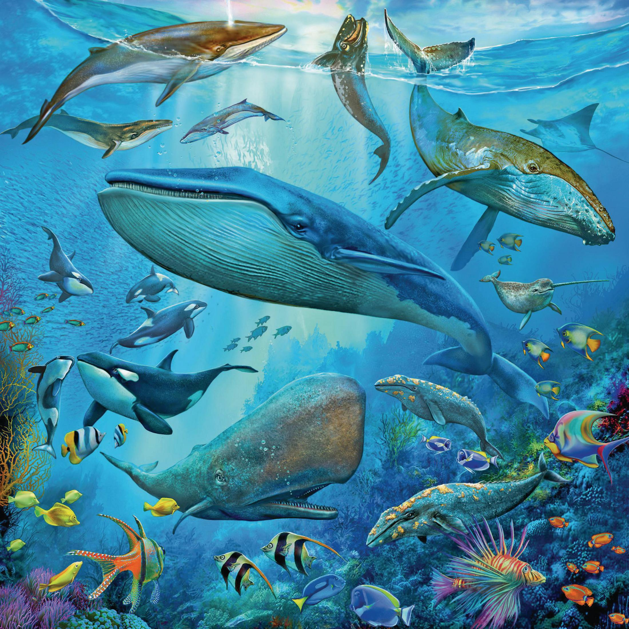 Scena podwodna z wielorybami i rybami. Niebieska woda, kolorowa rafa, różnorodne życie morskie.