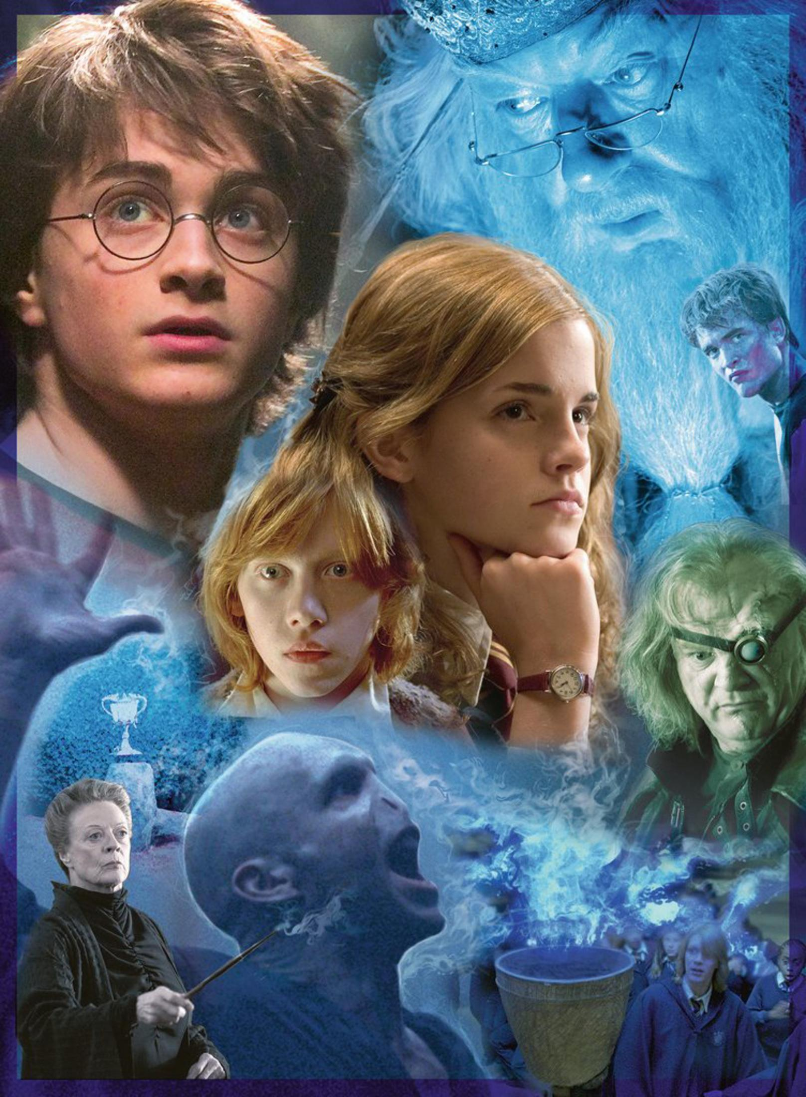 Kolaż postaci z filmów o Harrym Potterze. W tym Harry, Ron, Hermiona, Dumbledore i Voldemort.