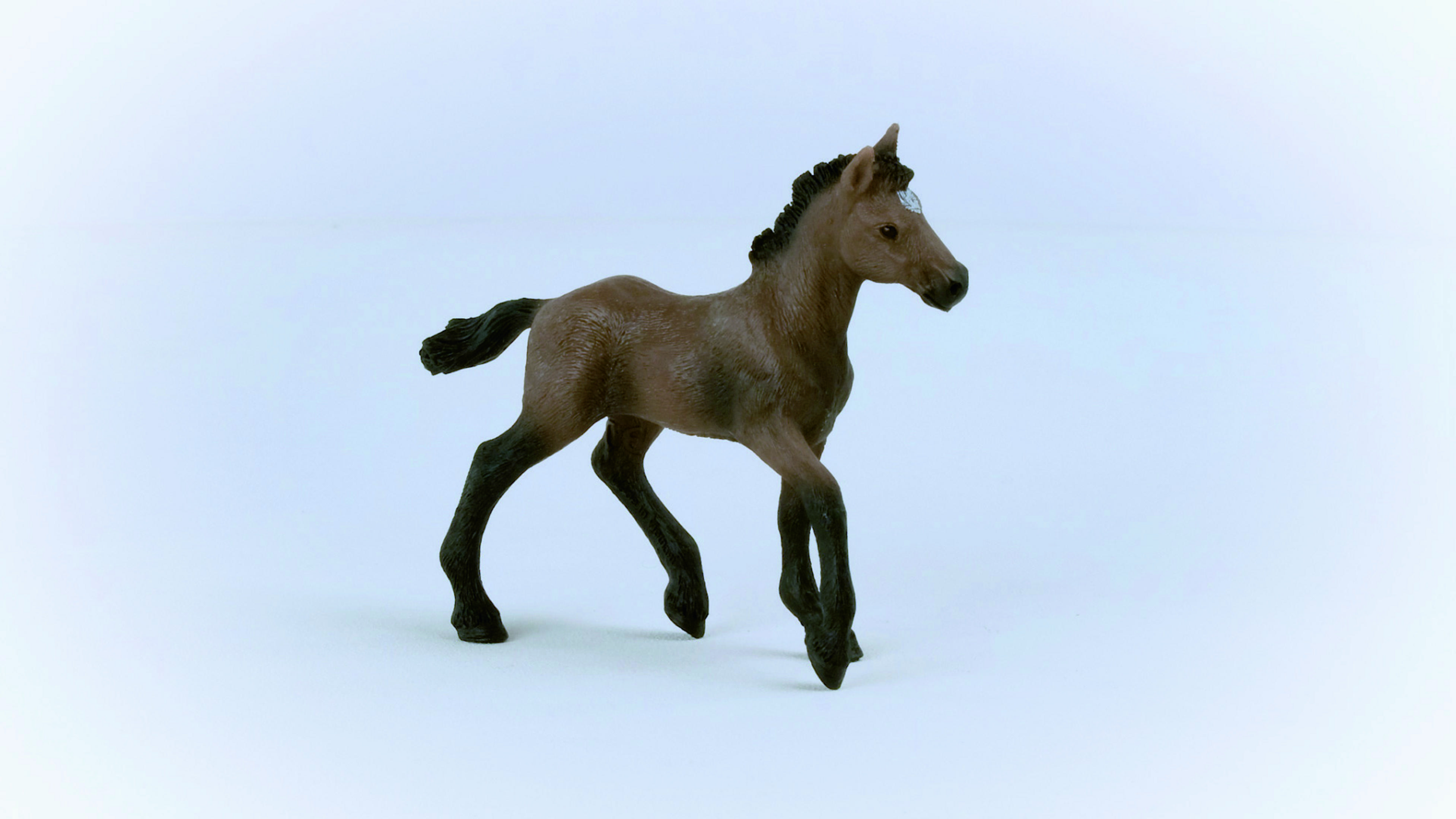 Brązowe źrebię zabawki stojące na białej powierzchni. Koń ma czarne nogi i ciemną grzywę.