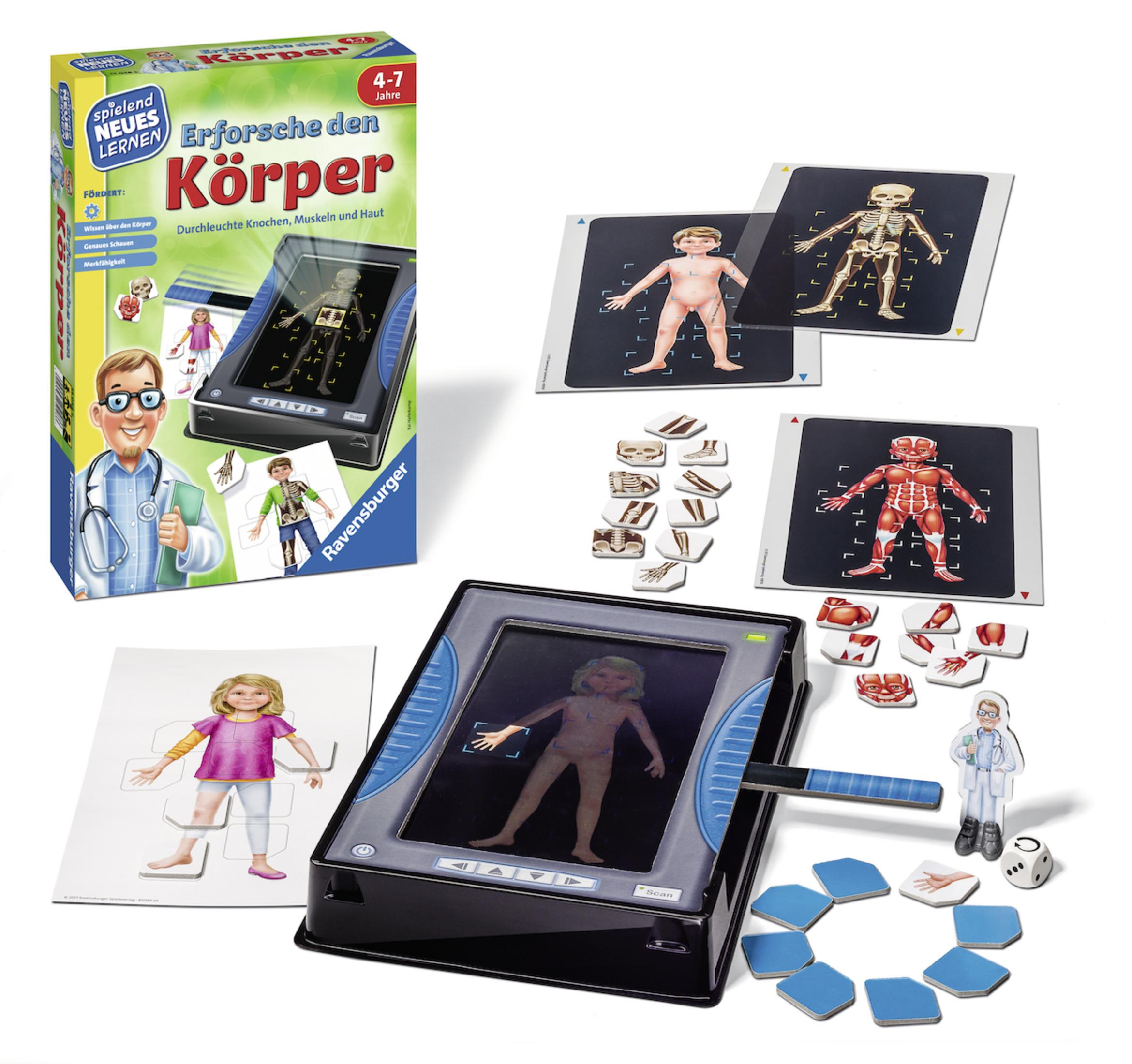 Ein Spiel über den menschlichen Körper. Mit einem Arzt und menschlichen Anatomiediagrammen.