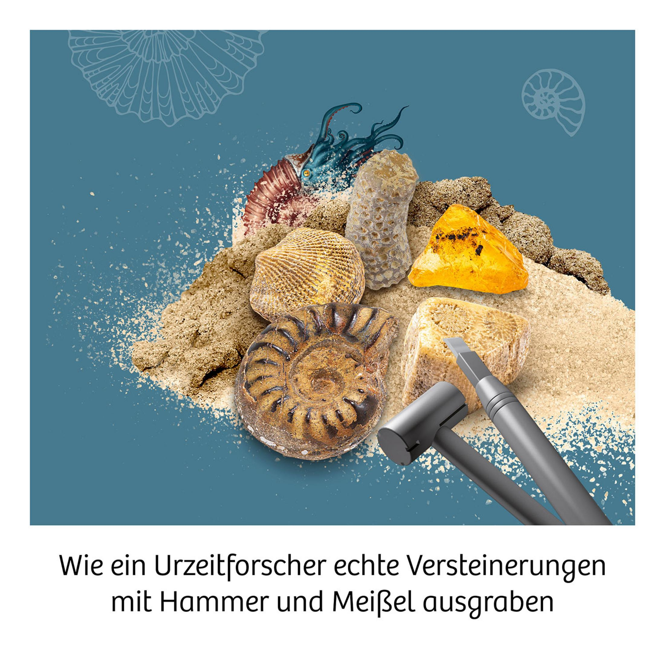 Fossilien und Werkzeuge zur Ausgrabung auf blauem Hintergrund, mit Text darunter.