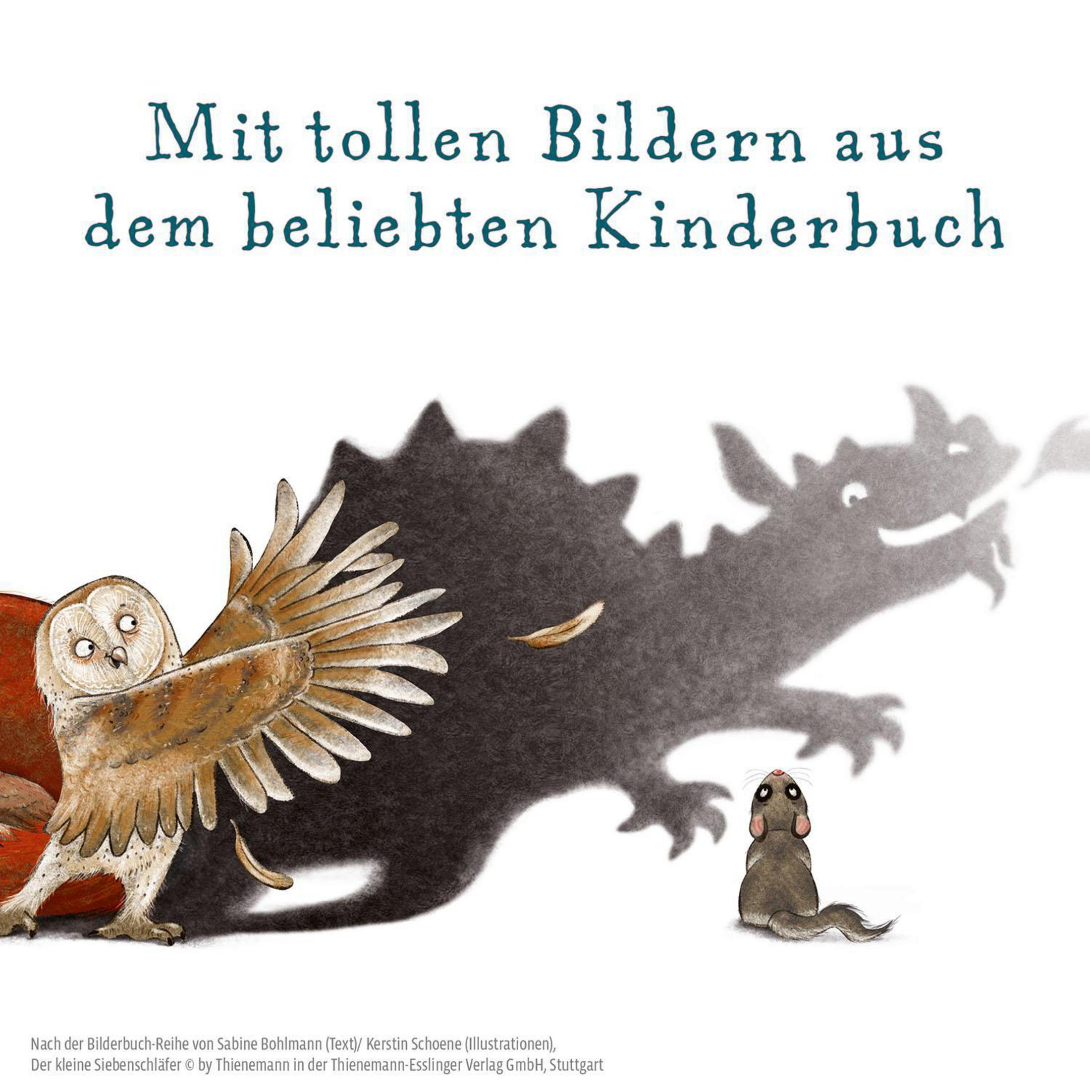 Buchcover: Eule mit Schatten Drache, Maus und Text auf Deutsch.