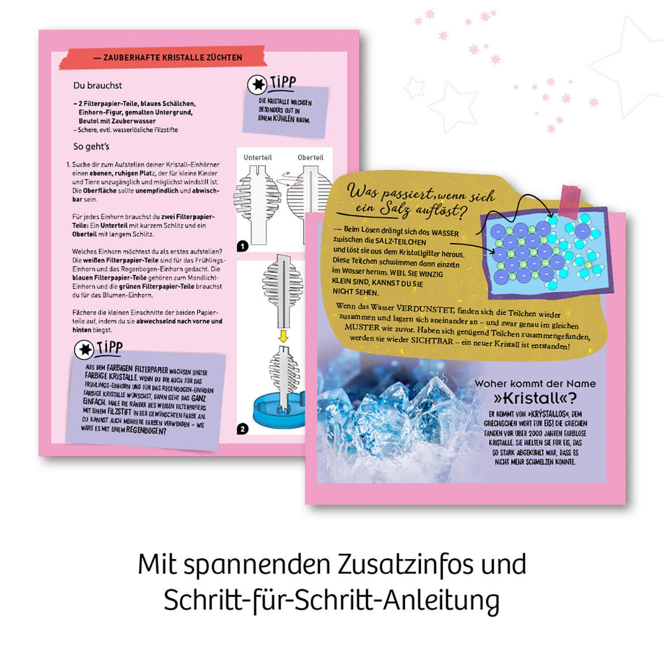 Anleitung zum Züchten von Kristallen, mit Illustrationen und Text.