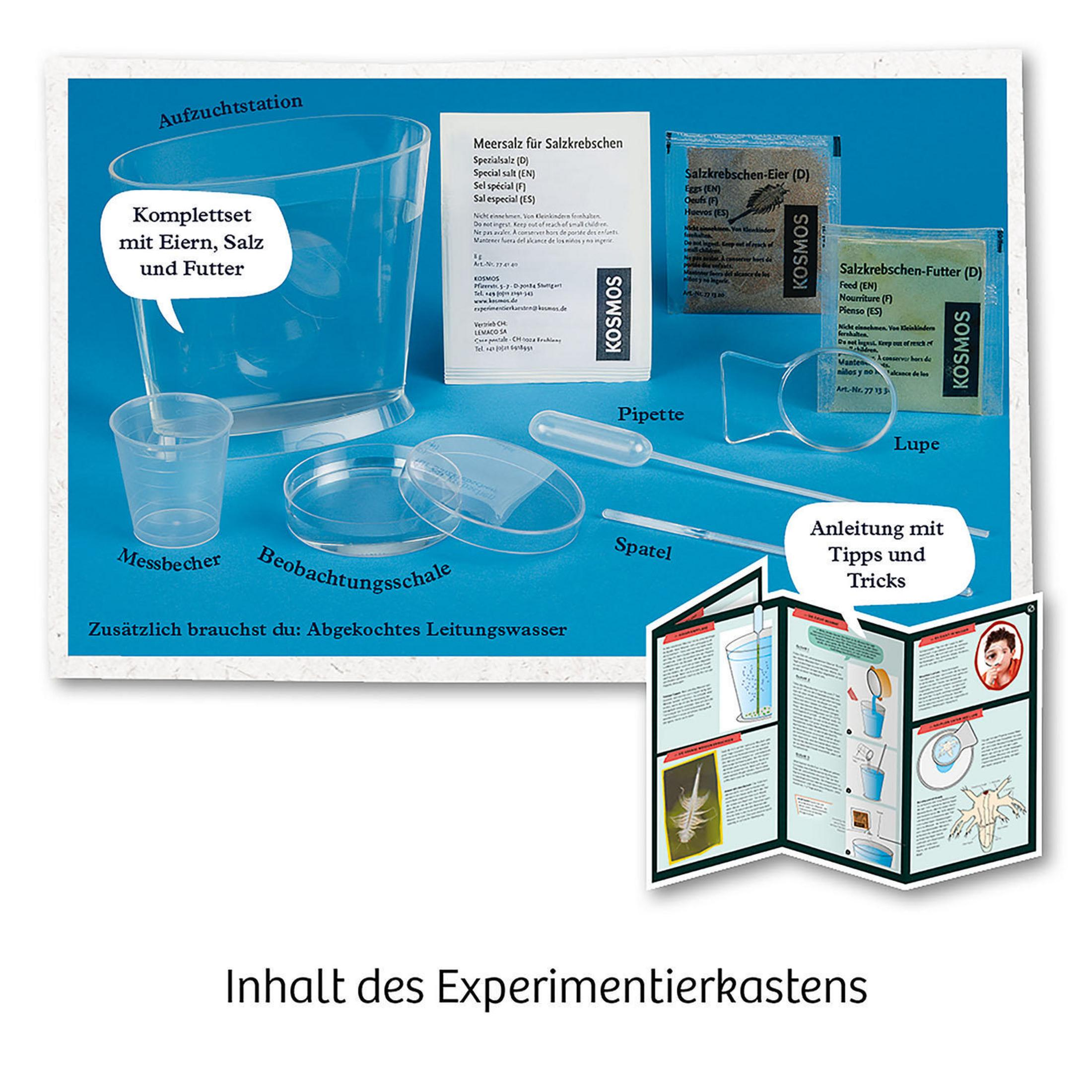 Ein Wissenschaftskit mit verschiedenen Laborwerkzeugen und Anweisungen, einschließlich eines Bechers, einer Pipette und einer Anleitung.