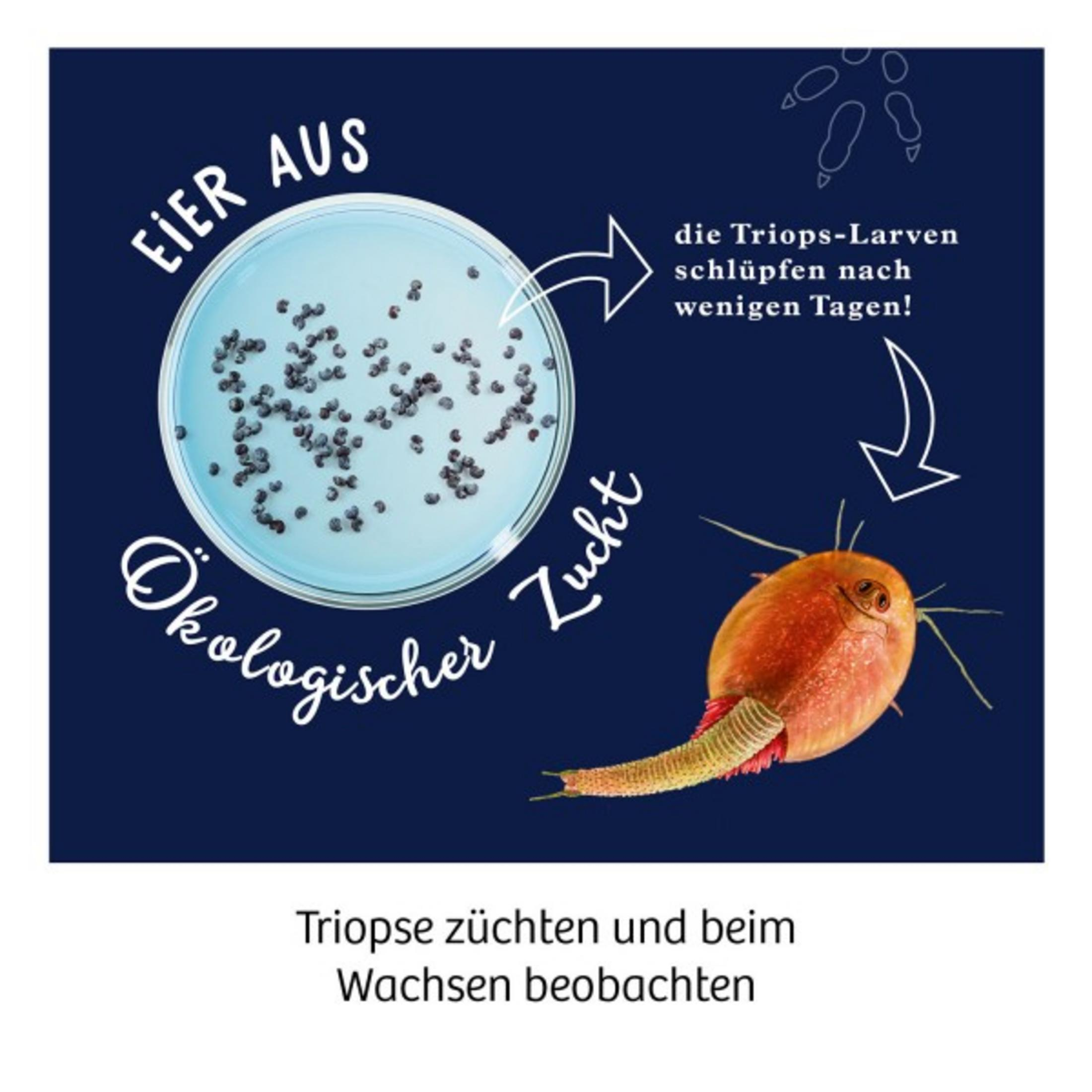 Bild mit Text über Triops: ökologischer Anbau, Schlüpfen.